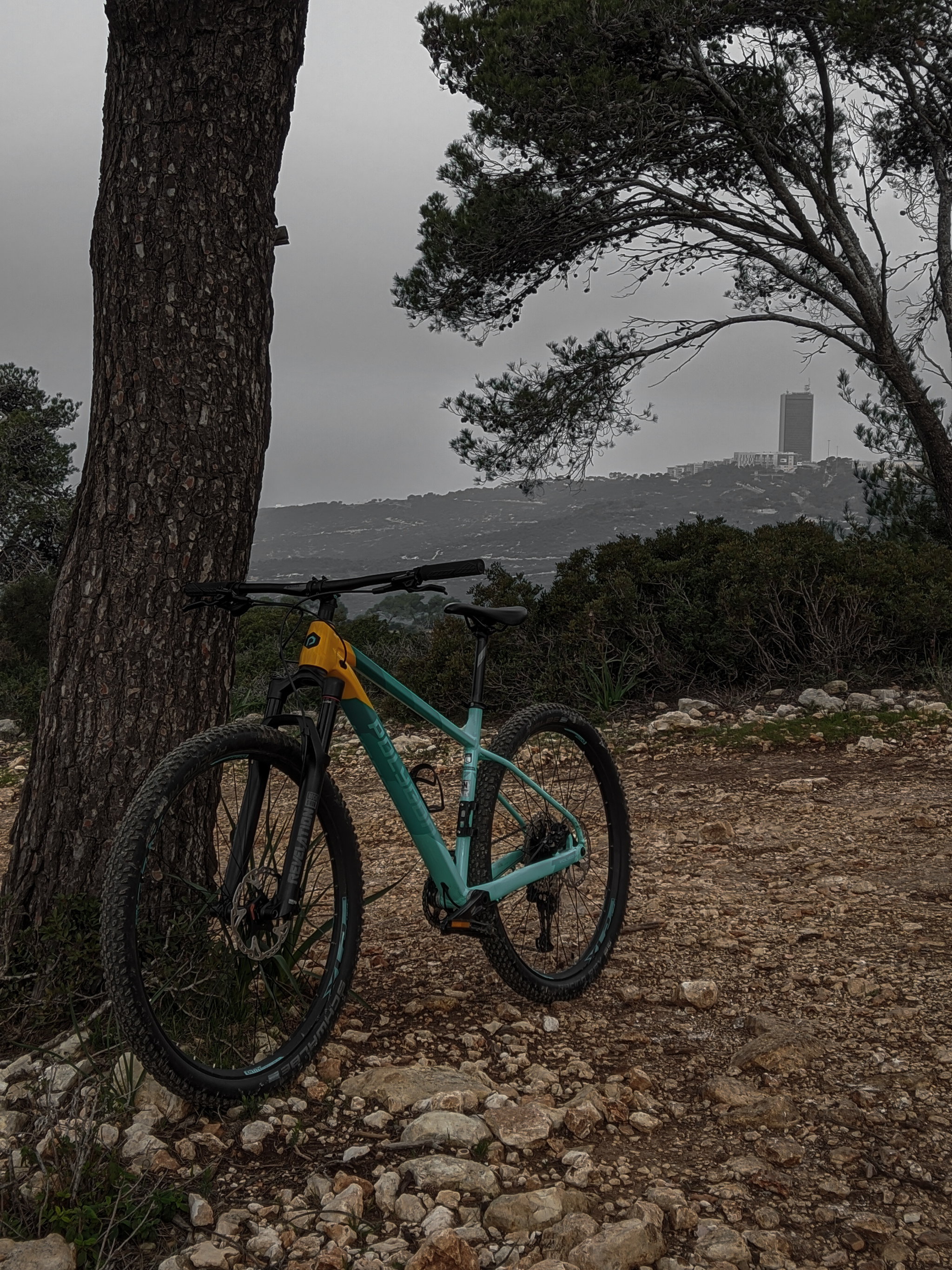 Cycling on Mount Carmel, Haifa - 19/02/22 | Longpost - My, Cycling, A bike, Israel, The mountains, Beautiful view, Longpost