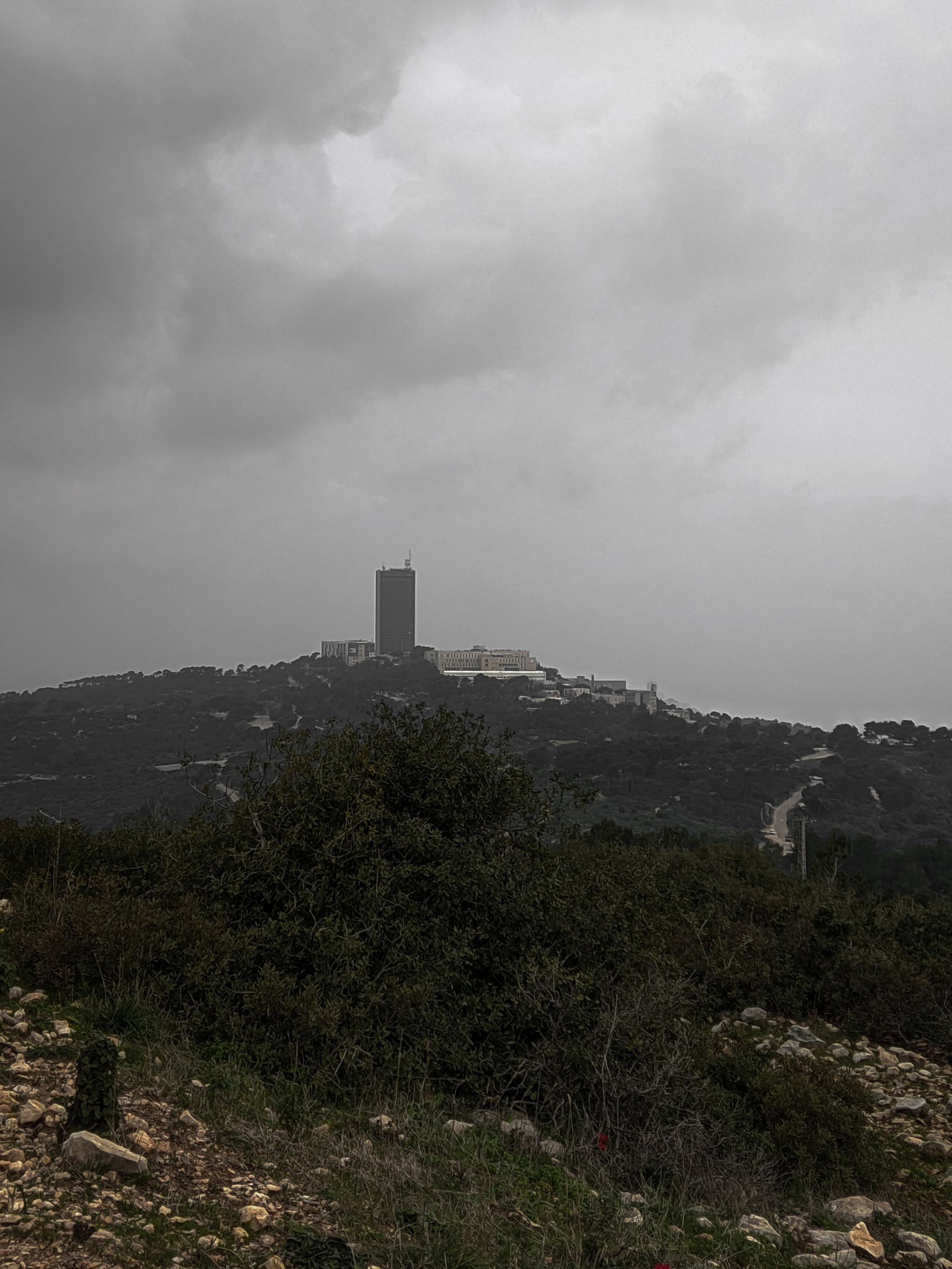 Cycling on Mount Carmel, Haifa - 19/02/22 | Longpost - My, Cycling, A bike, Israel, The mountains, Beautiful view, Longpost