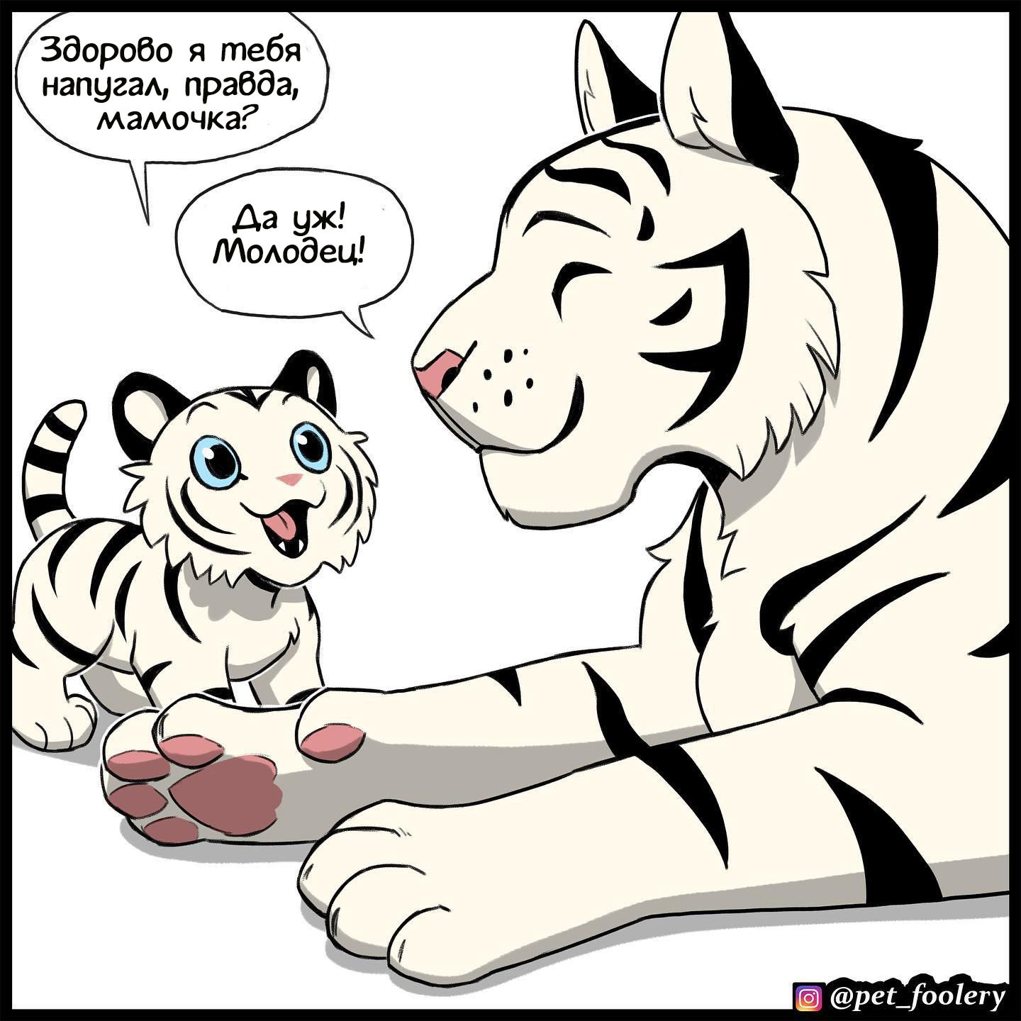 Poor Stephen - Comics, GIF with background, Pet foolery, Tiger, Translation, GIF, Longpost