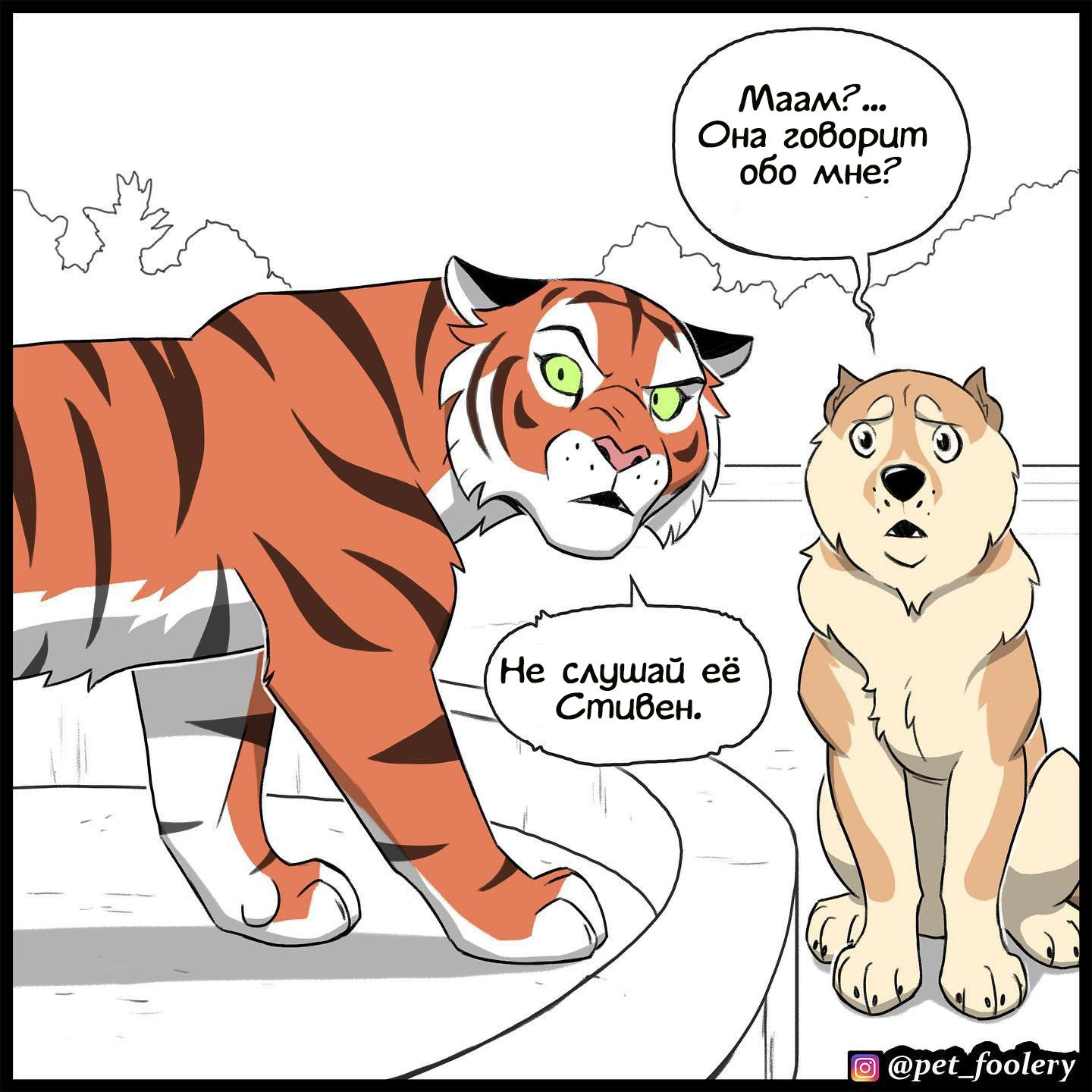 Poor Stephen - Comics, GIF with background, Pet foolery, Tiger, Translation, GIF, Longpost