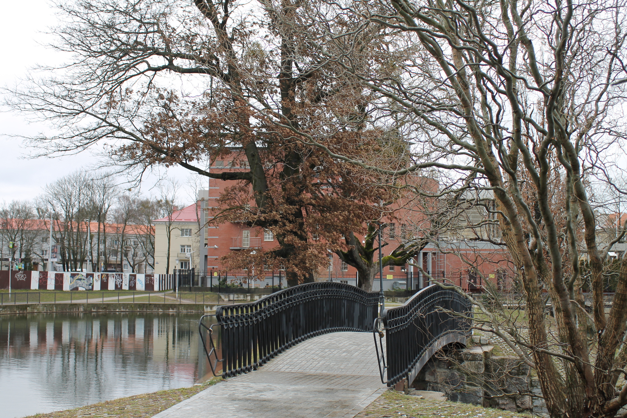 Kaliningrad - My, Lake, Bridge, The photo