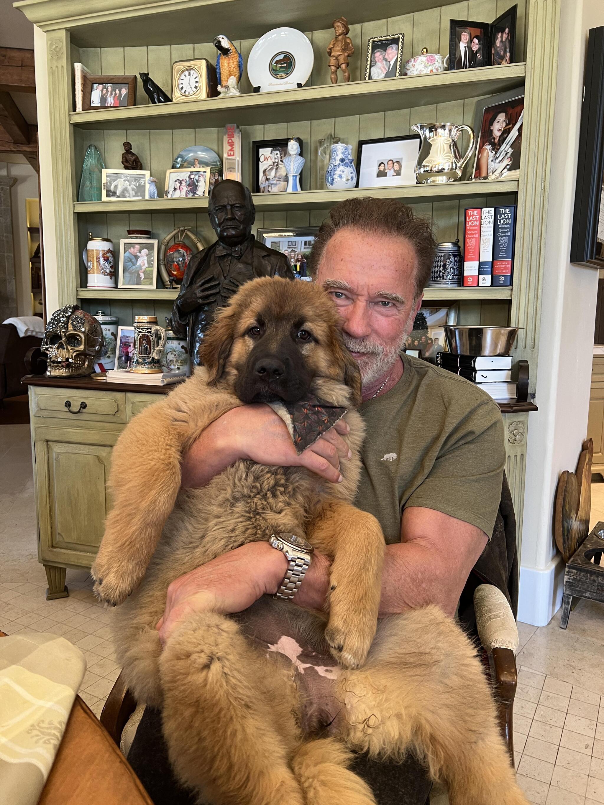 Former Mr. Olympia, Conan, terminator and governor of California. I killed the Predator. I told you I'll be back.© - Arnold Schwarzenegger, Instagram, Dog, Actors and actresses