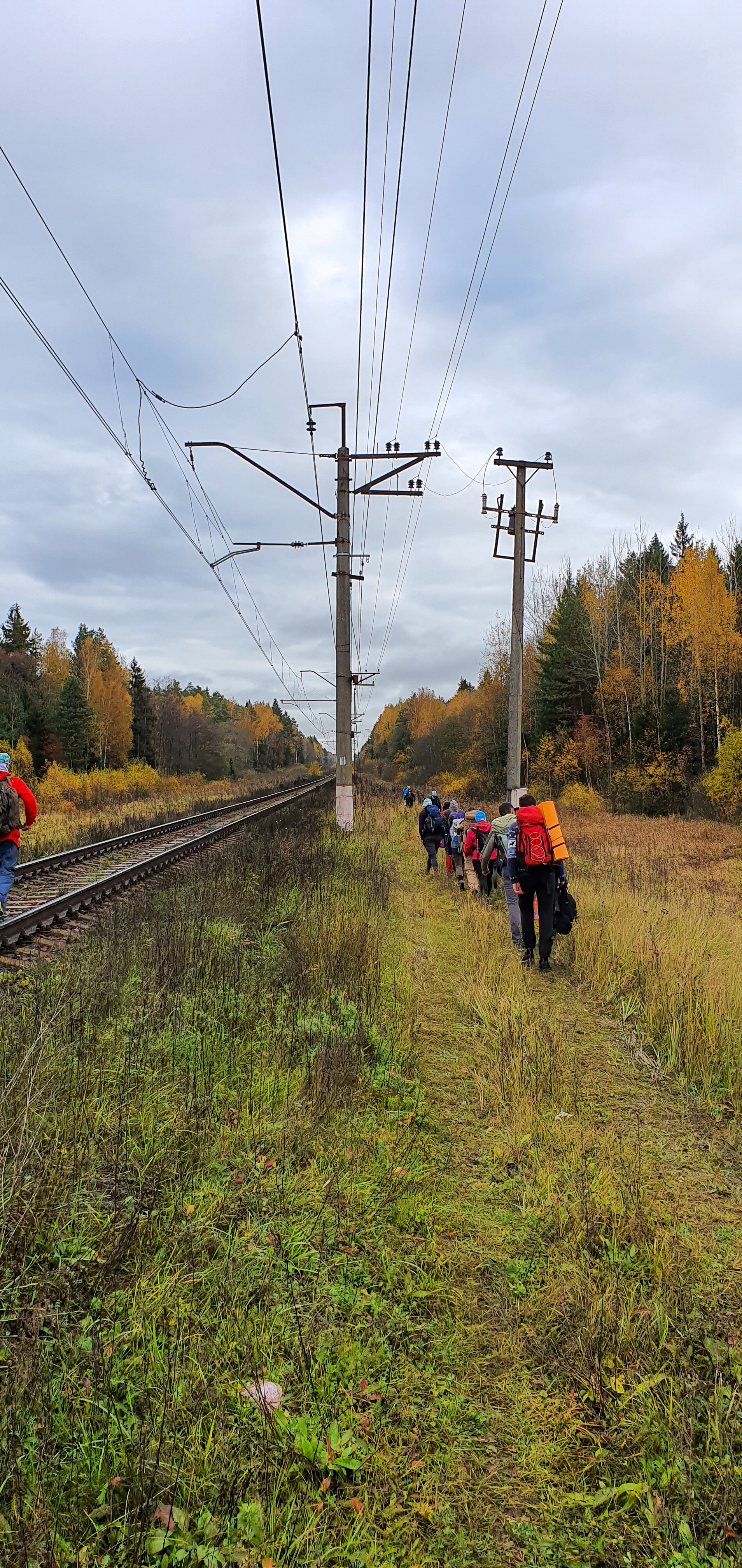 How I got hooked on orienteering - My, Orienteering, Forest, Adventures, Bad Head, Longpost