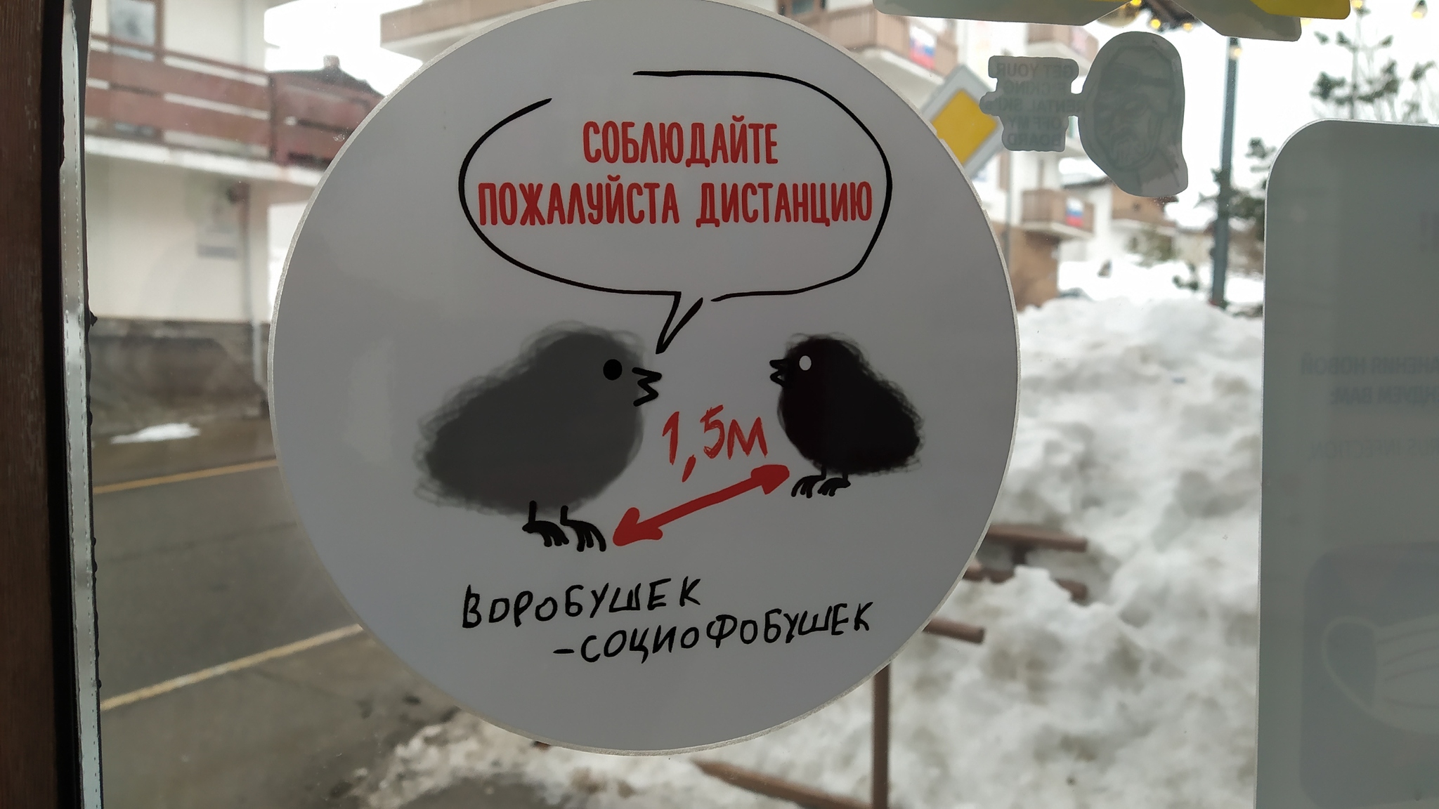 Воробушек социофобушек. Воробушек социофобушек картинка. Социофобушек