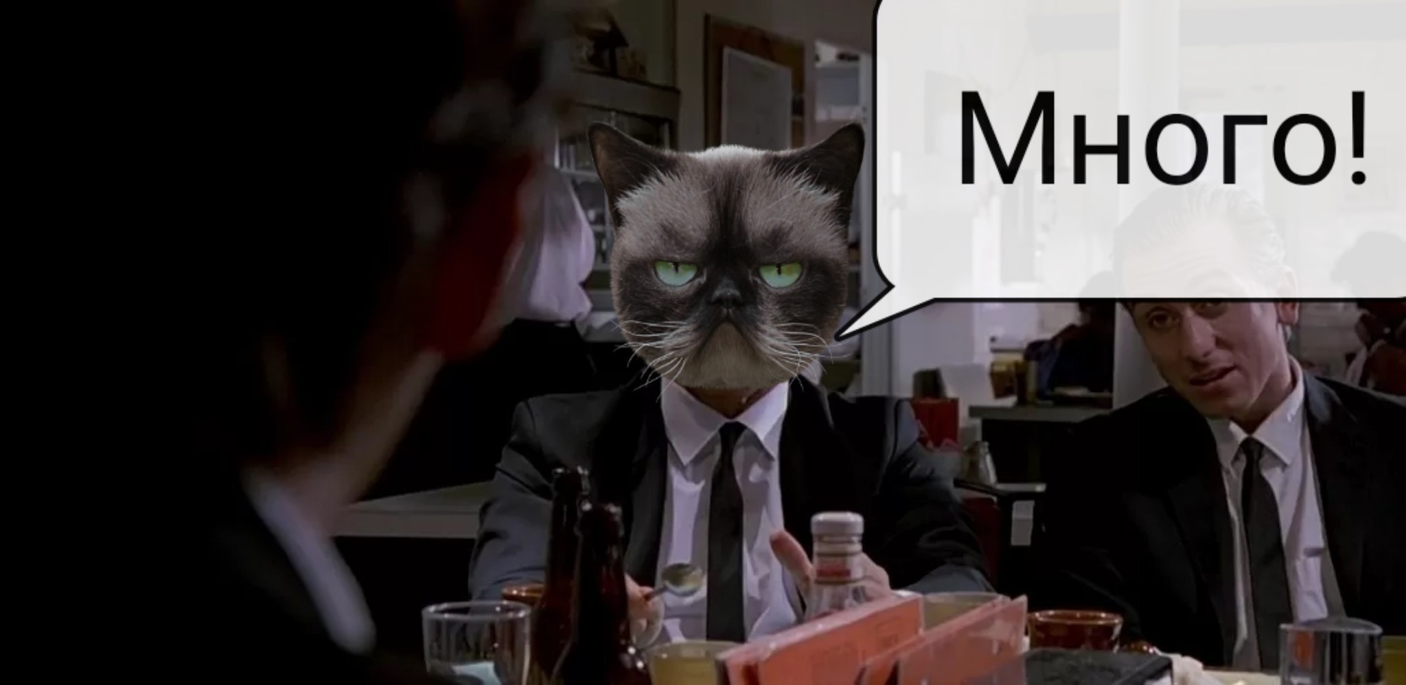 Tarantino and cats - My, Quentin Tarantino, Mad Dogs, Humor, cat, Peekaboo