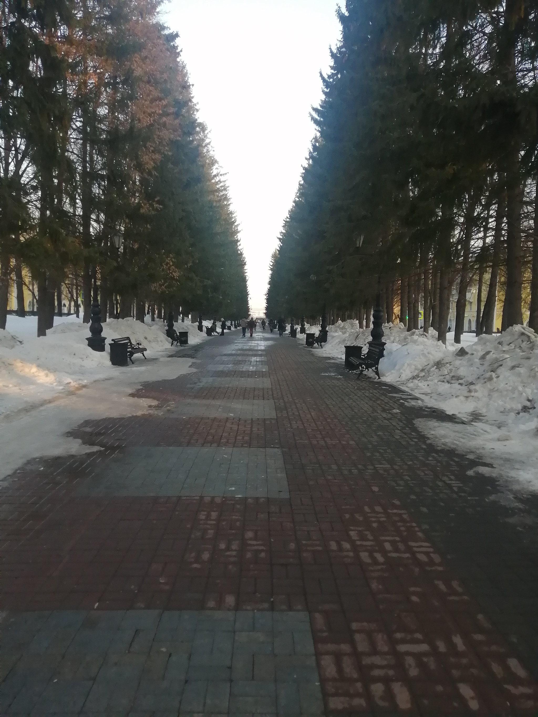 Walk of Fame - My, Swastika, Spring, Alley, Snow, Longpost