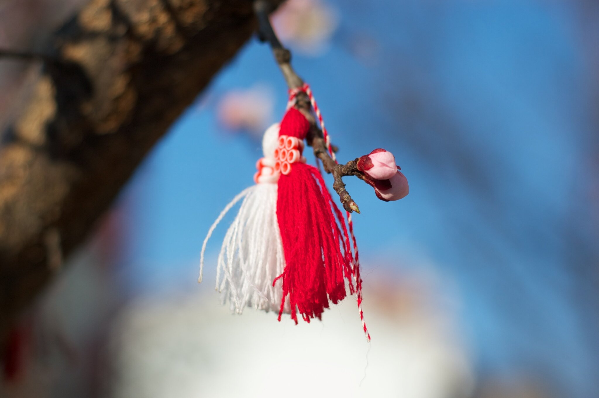 Winter all - Spring, Picture with text, Martisor