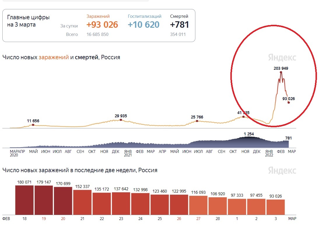 COVID itself has shown that well...)) - My, Coronavirus, Virus, Mat