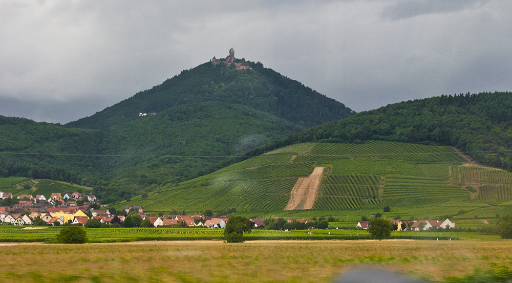 Riquihr, France - My, Alsace, France, Statue of Liberty, Travels, The photo, Europe, Grape, Riesling, Wine, Winemaking, Vineyard, Architecture, Longpost