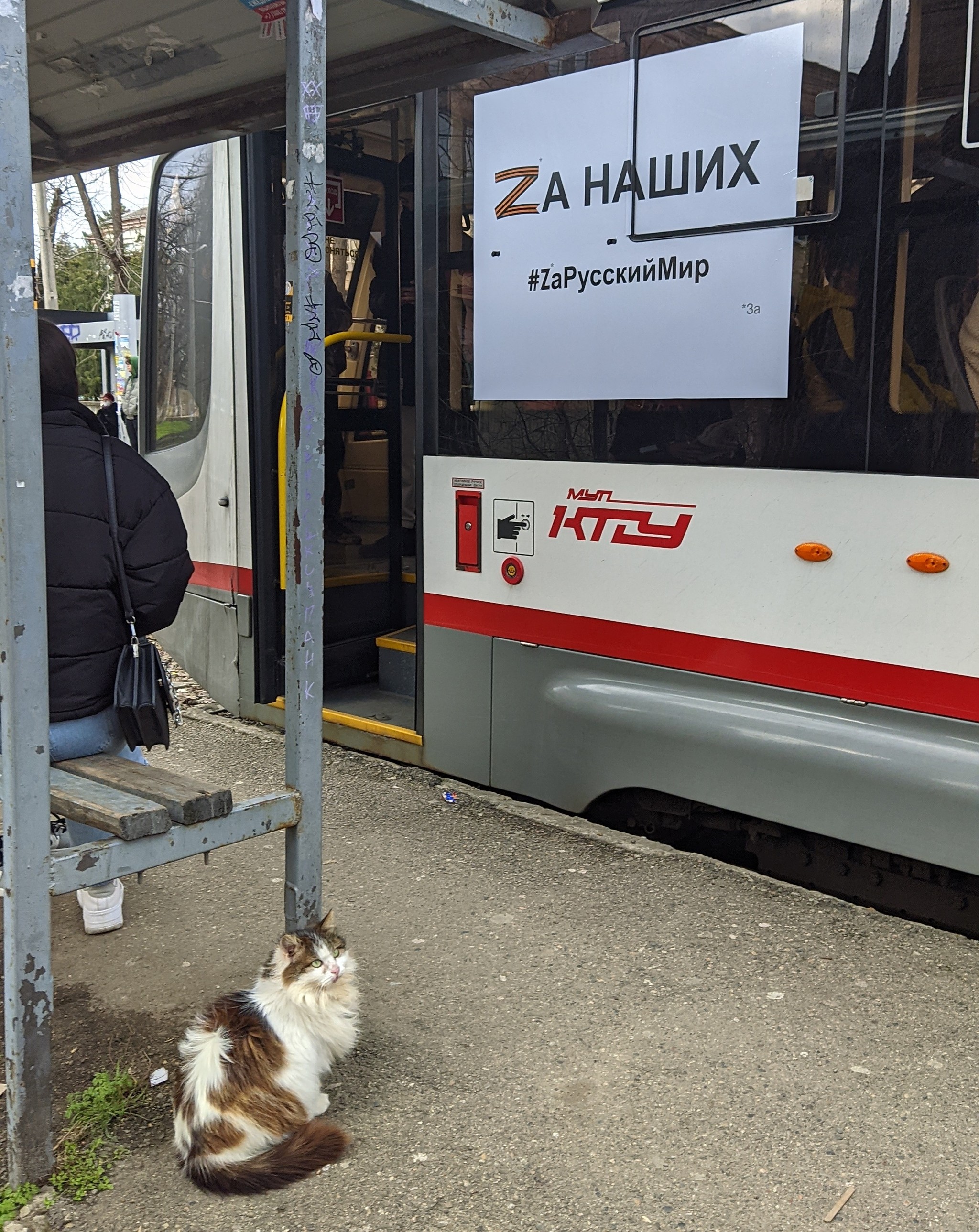 Zacensil - My, Tram, cat, Longpost, Z and V symbols, 