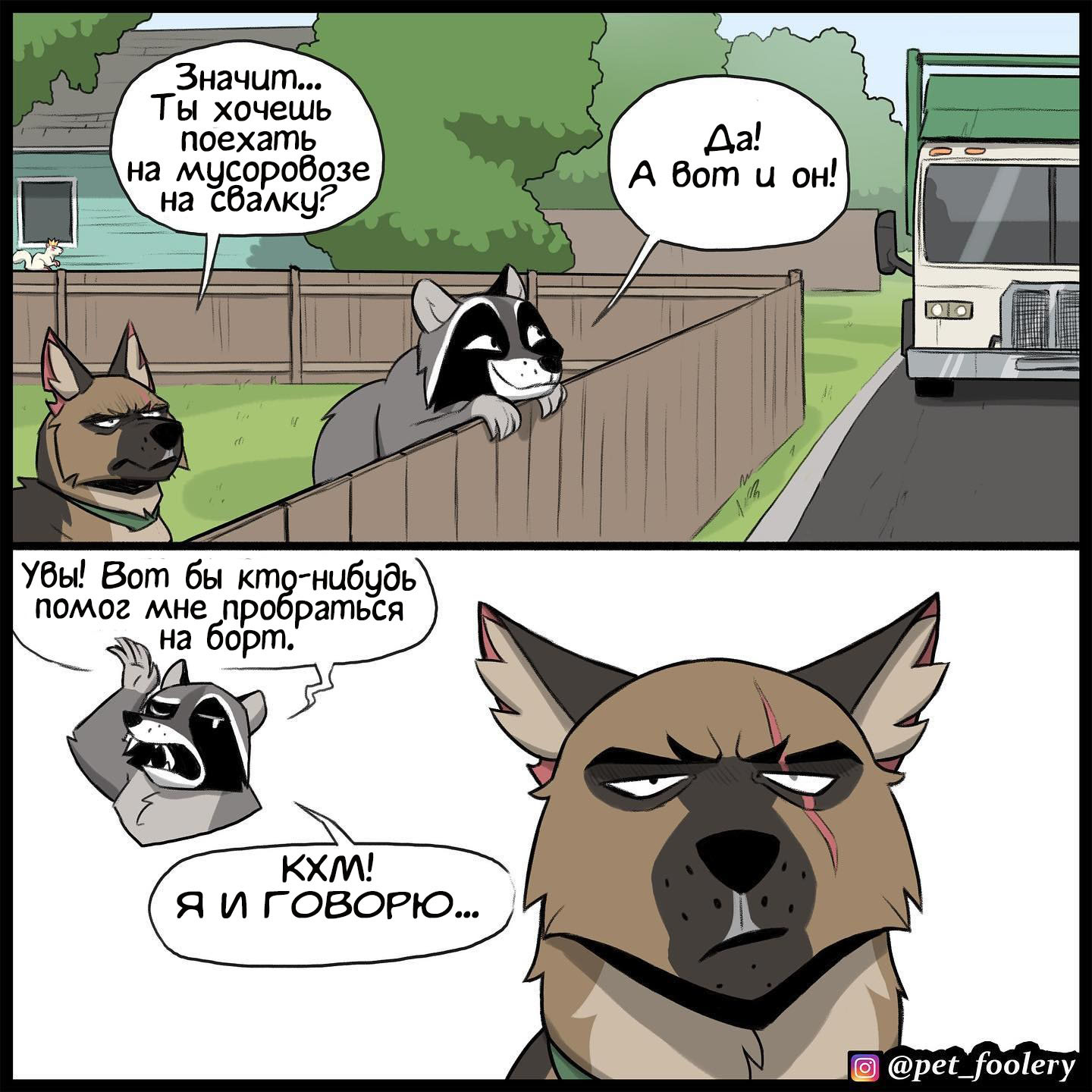 Randal hit the jackpot - Comics, Pet foolery, Brutus and Pixie, Dog, cat, Raccoon, GIF, Longpost, GIF with background, 