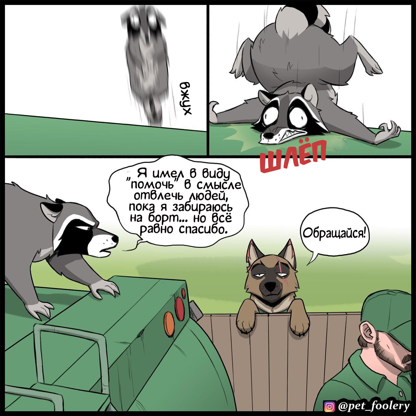 Randal hit the jackpot - Comics, Pet foolery, Brutus and Pixie, Dog, cat, Raccoon, GIF, Longpost, GIF with background, 