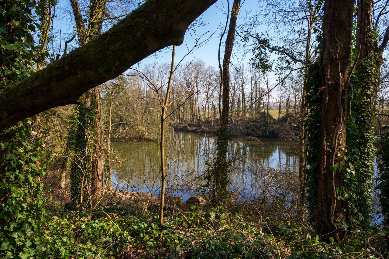 Corrois-le-Chateau - Chteau de Corroy-le-Chteau, Wallonia, Belgium - My, Travels, The photo, sights, Europe, Lock, Middle Ages, Belgium, Valonia, Longpost