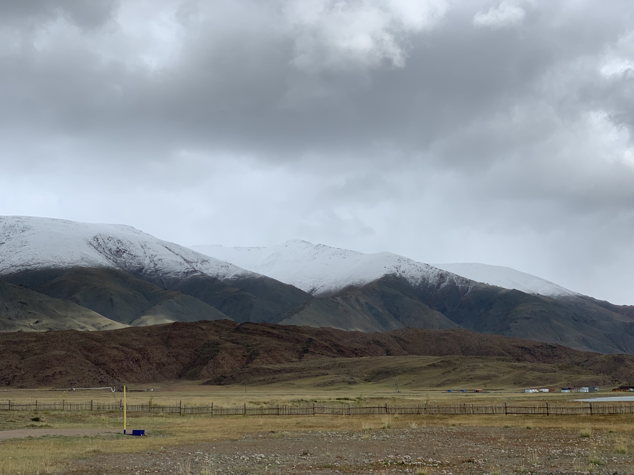 How I traveled to Mongolia from Moscow - My, Video, Mongolia, Travels, Dog, Bull terrier, Motorists, Tourism, sights, Camels, Toyota, Altai Republic, Long, Mongols, Ulan Bator, Longpost, 