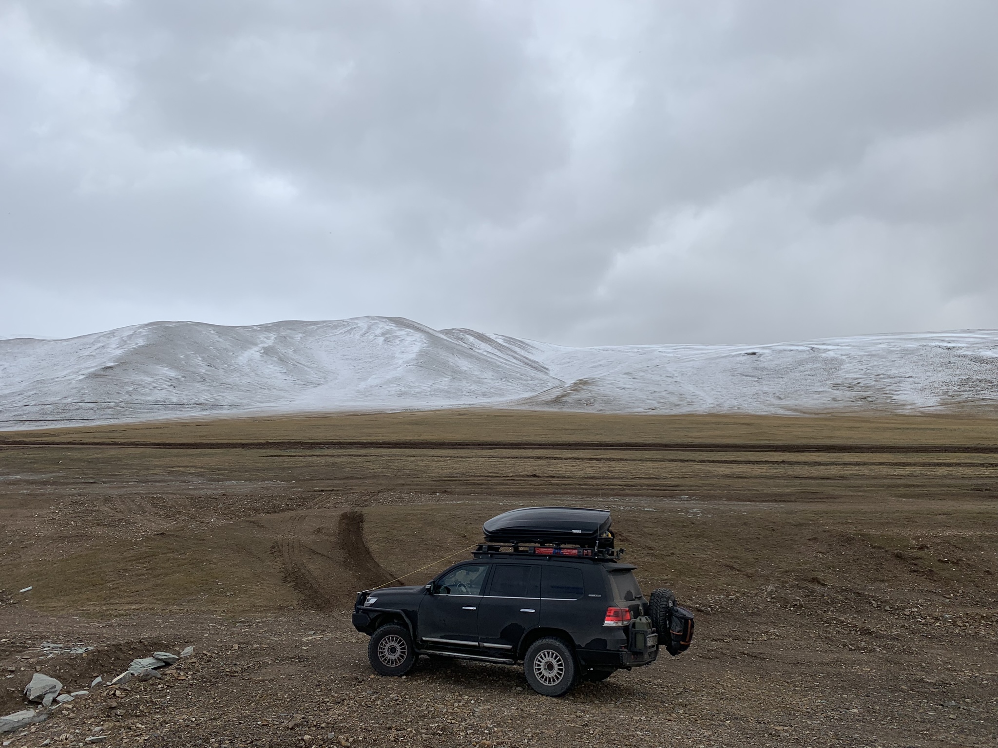 How I traveled to Mongolia from Moscow - My, Video, Mongolia, Travels, Dog, Bull terrier, Motorists, Tourism, sights, Camels, Toyota, Altai Republic, Long, Mongols, Ulan Bator, Longpost, 