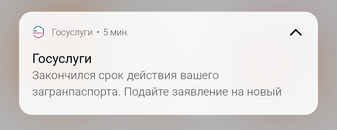 Думаю, теперь можно особо не торопиться - Загранпаспорт, Путешествия, Госуслуги, , Мемы, Гарольд скрывающий боль