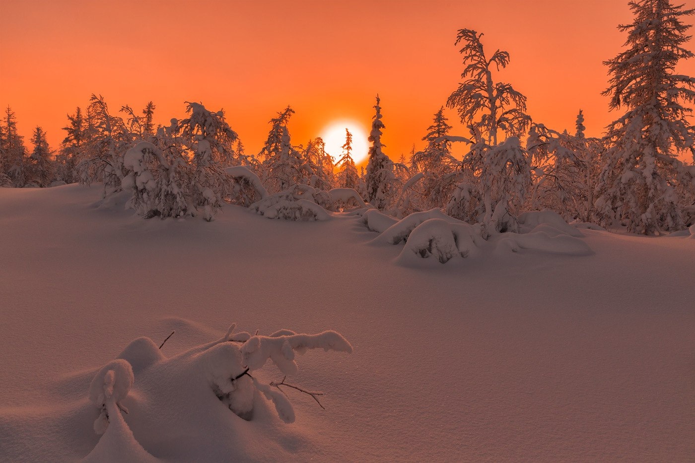 Dawn in Yamal - Yamal, Morning, freezing, , The photo