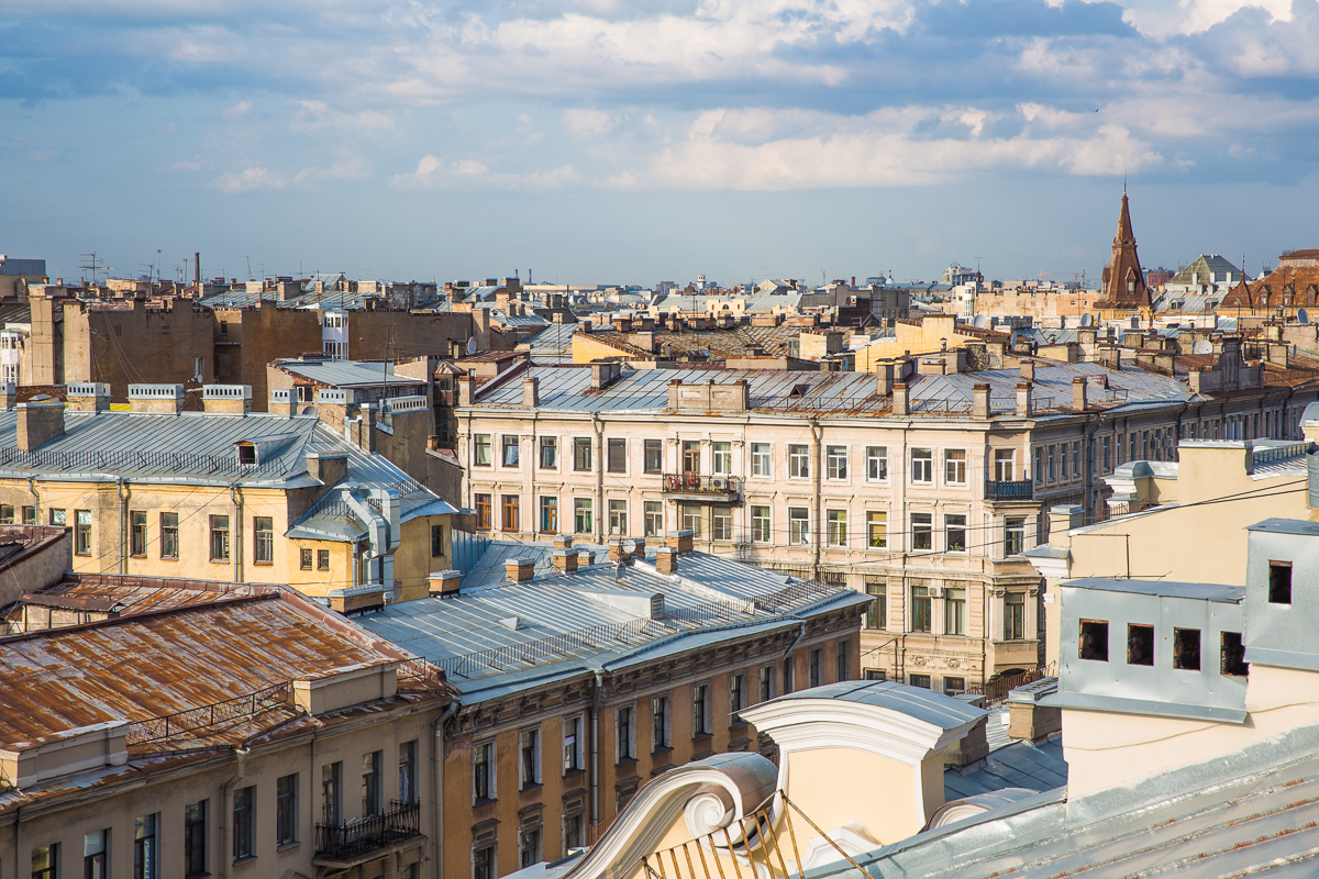 Saint Petersburg. 2014 year - My, The photo, Roof, Saint Petersburg, Longpost, 