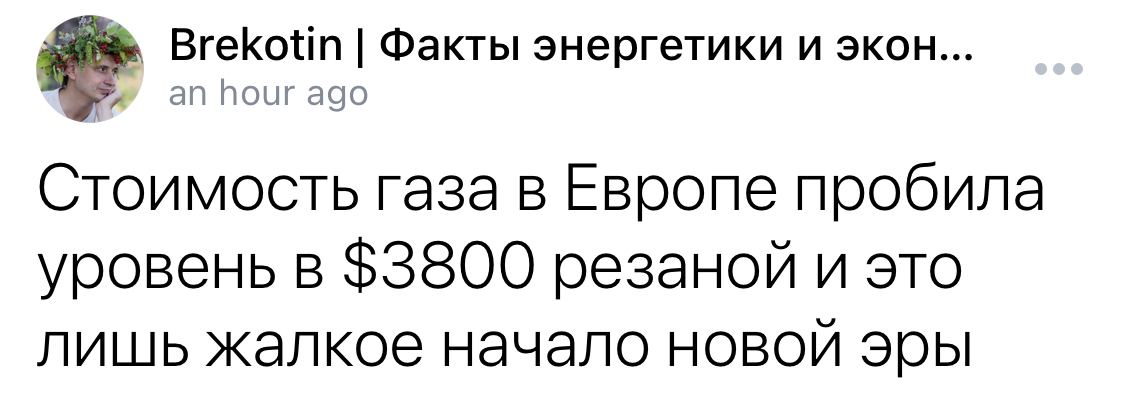 Пилят сук, на котором сидят - Политика, Газ, Финансы, Цена на газ, 