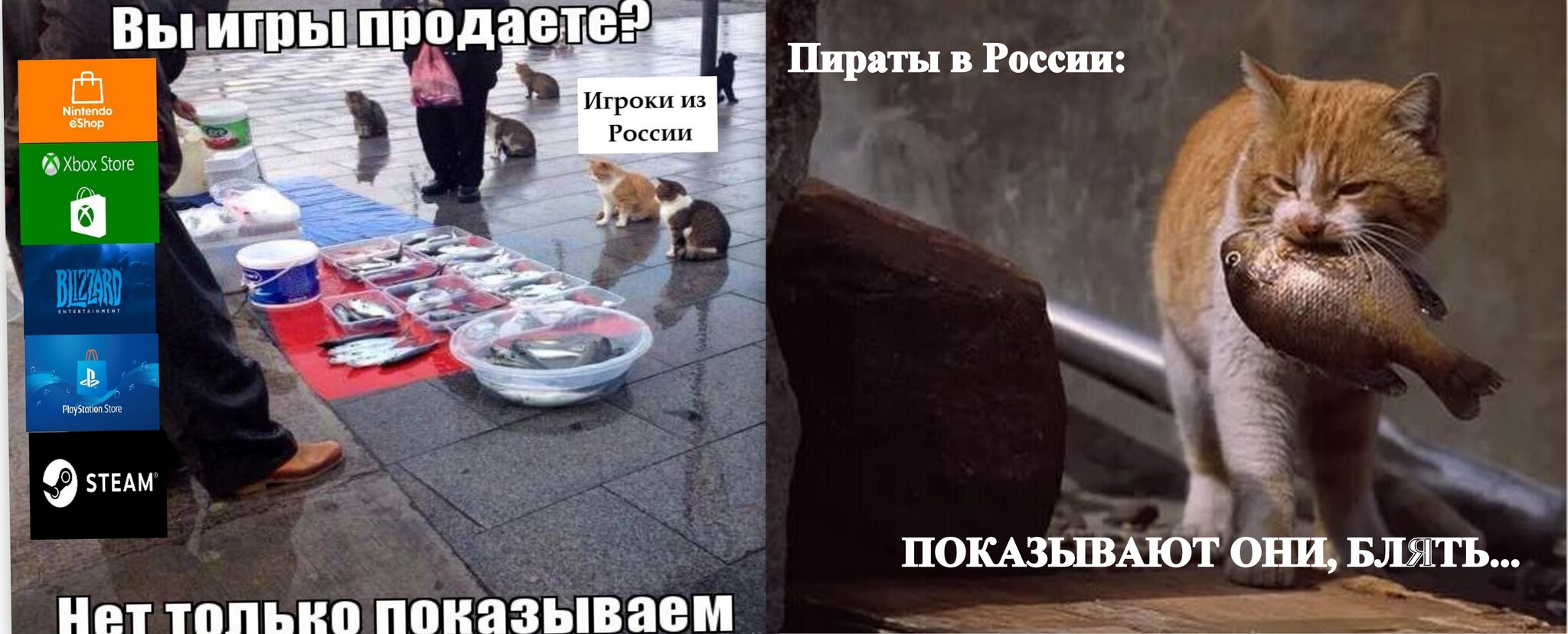 Pirates in Russia - Politics, cat, Sanctions, Mat, Memes, Picture with text