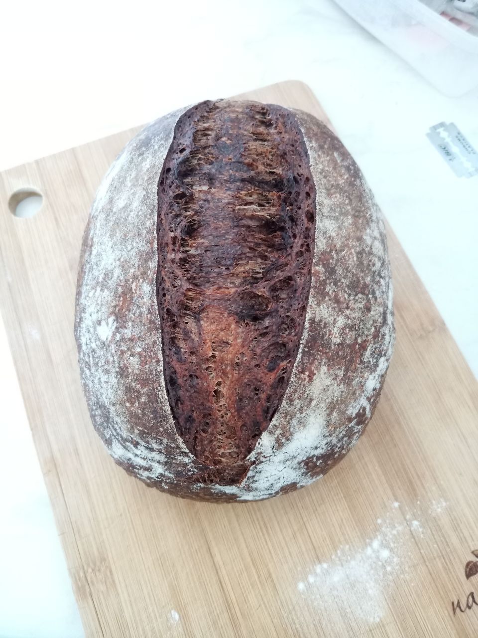 Chocolate bread - My, Sourdough, Bread, Cooking, Bakery products, Longpost, 