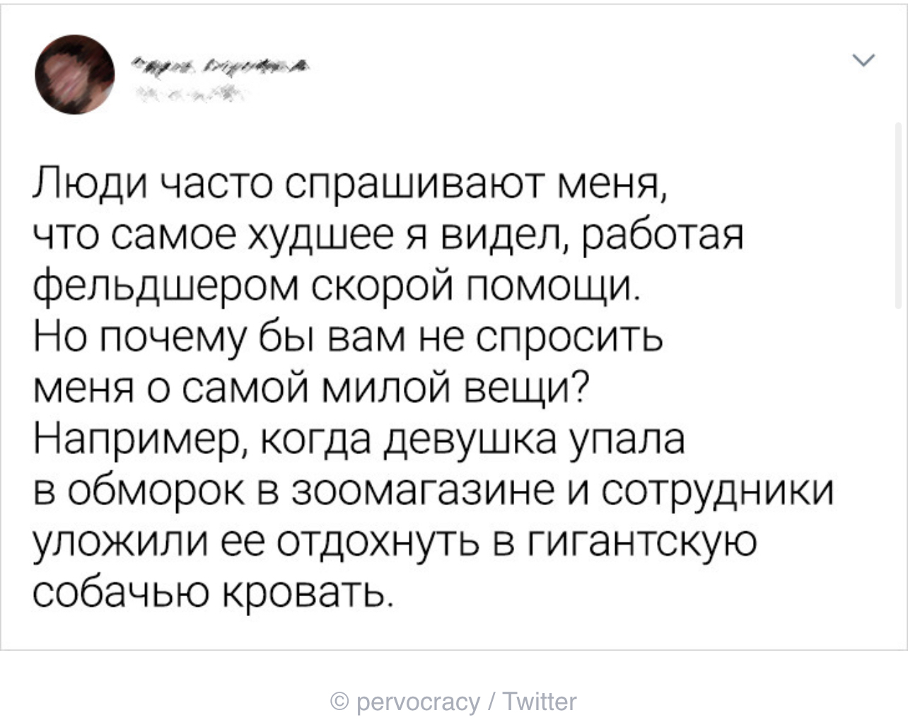 Песики не против - Скриншот, ADME, Twitter, 