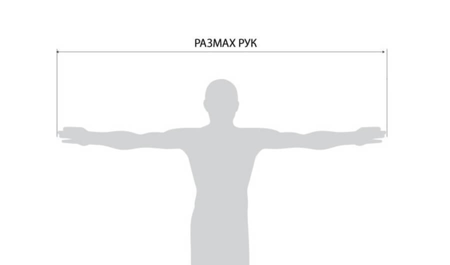 Размах рук - Человек, Факты, Антропология, Анатомия, 