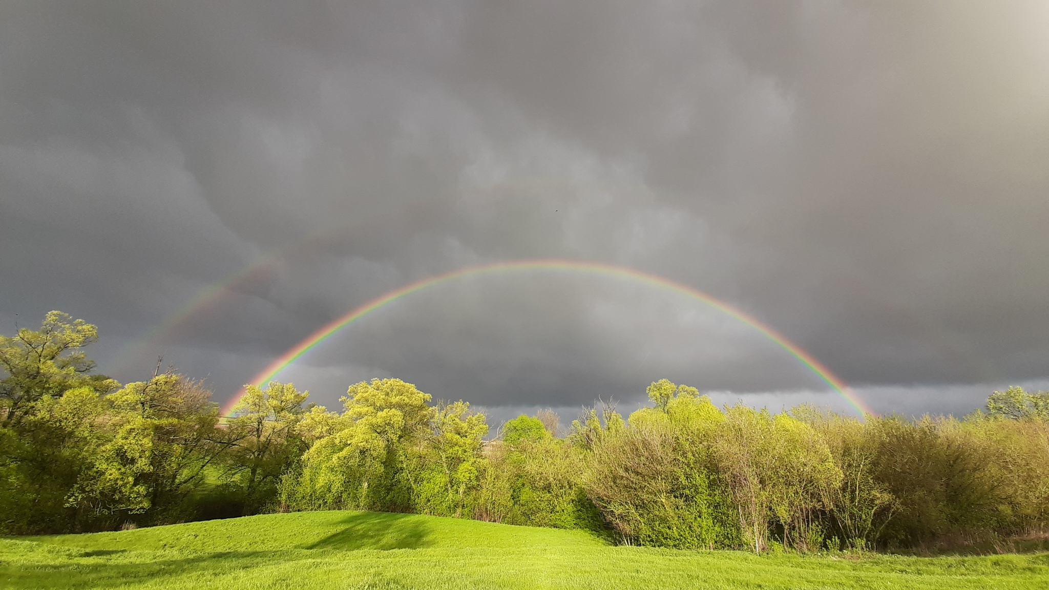 Rainbow - Радуга, Фотография, 