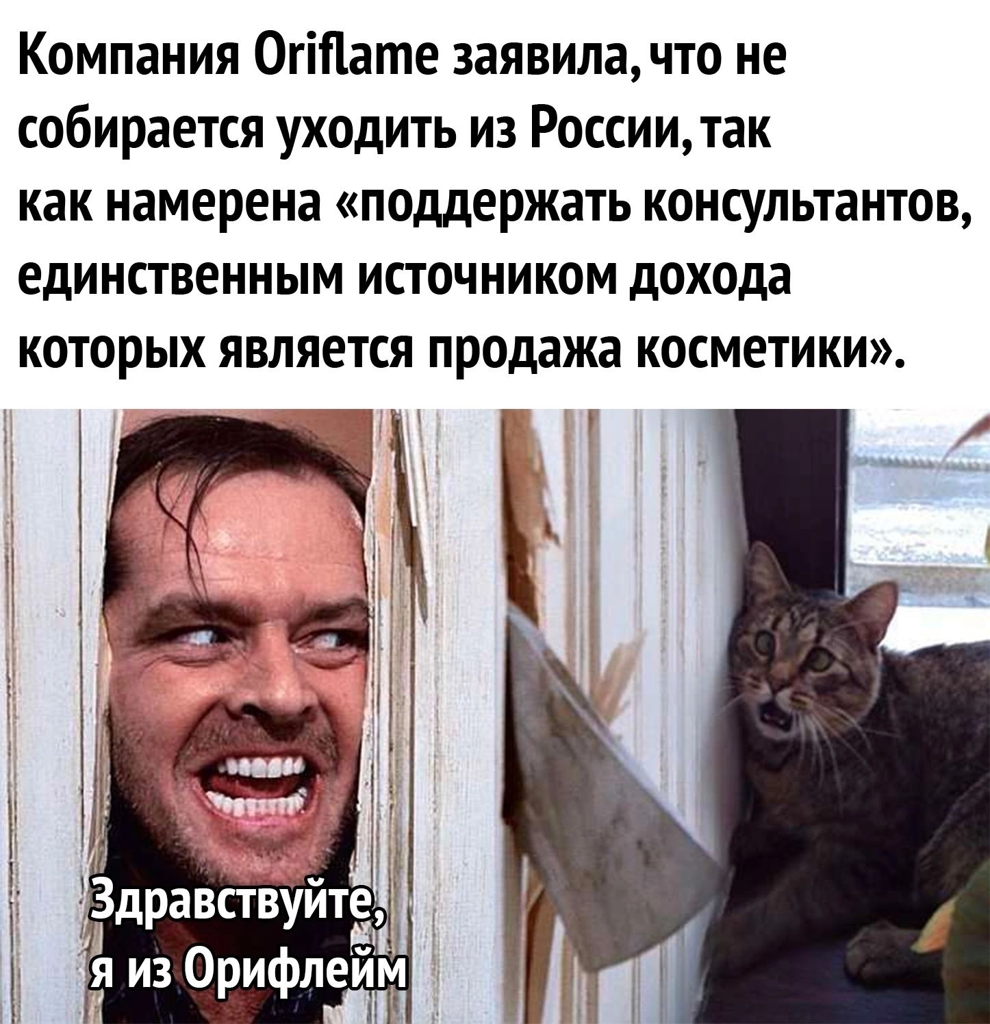 And don't get your hopes up... - Oriflame, Sanctions, Memes, Humor, Picture with text, Shining stephen king, cat, 