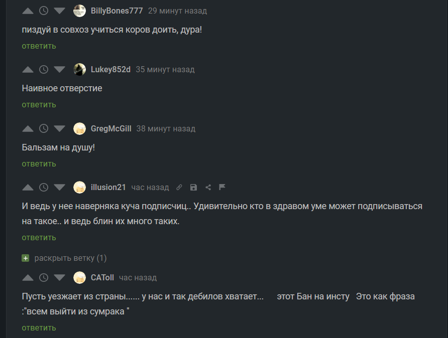 Ответ на пост «Инстаграмершы сейчас» - Моё, Блокировка, Instagram, Инстаграммеры, Печаль, Мат, Видео, Ответ на пост, Длиннопост, Скриншот, Комментарии на Пикабу, 