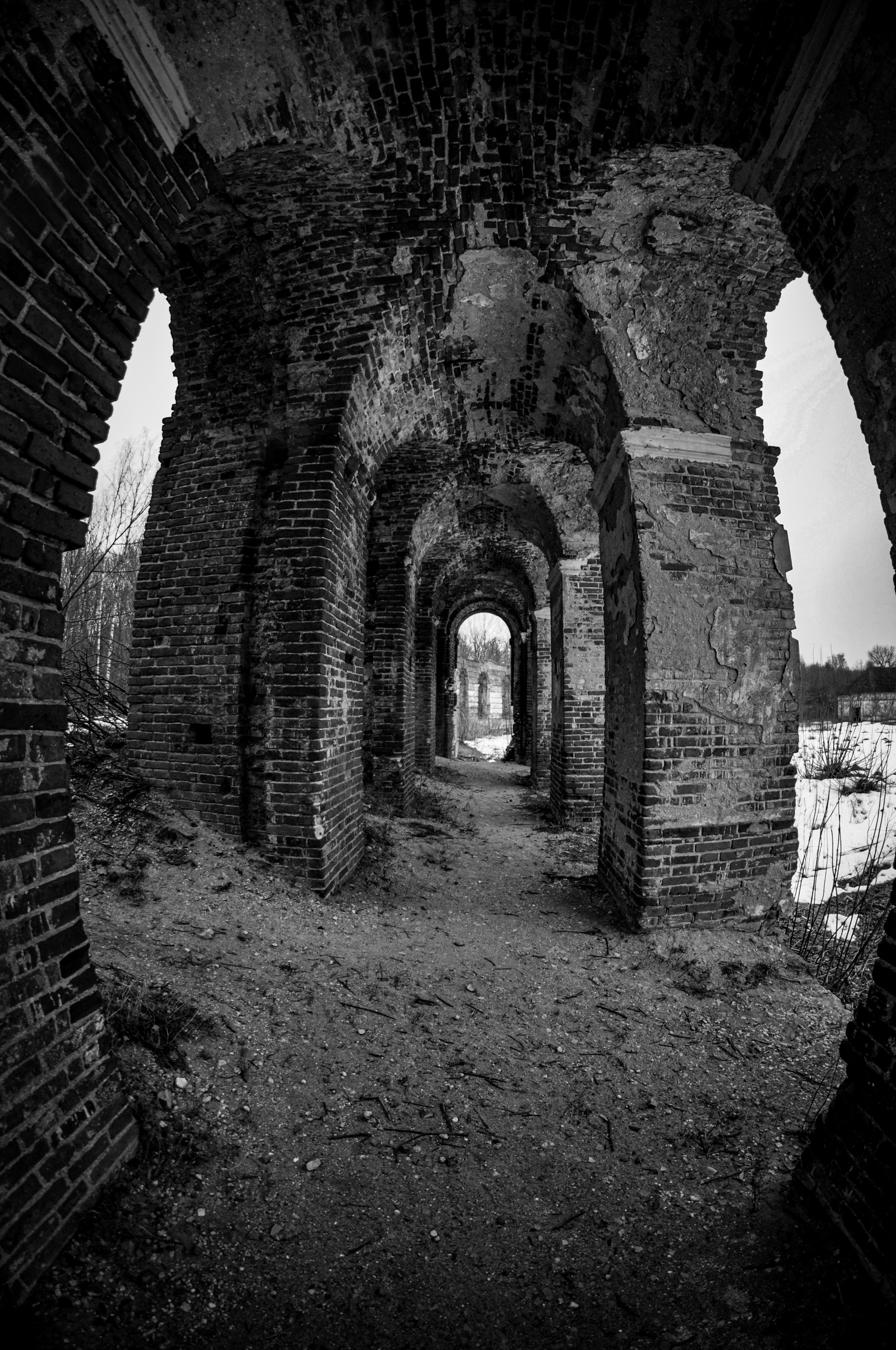 S. Lyalichi. Estate of Count Zavadsky - My, The photo, Travels, Manor, Nikon, Black and white, Ruin, 