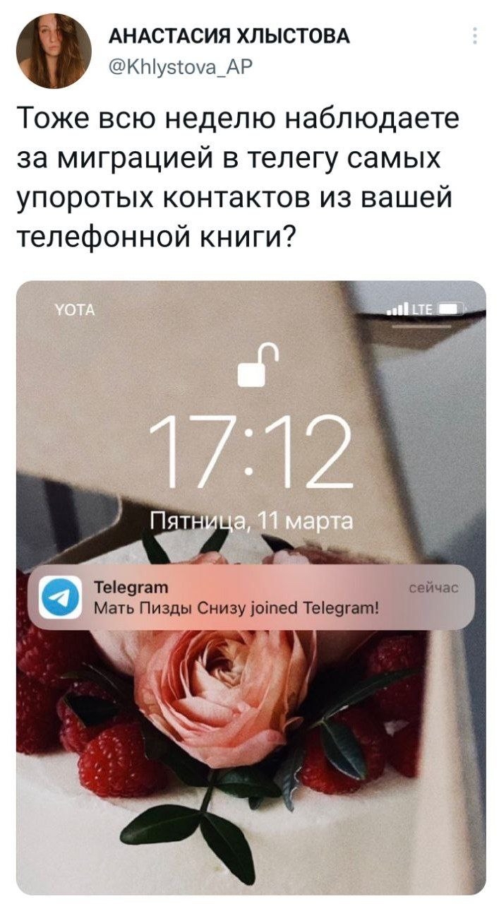 Нужно уже создать конкурс на самое упоротое имя контакта - Twitter, Скриншот, Telegram, Мат, 