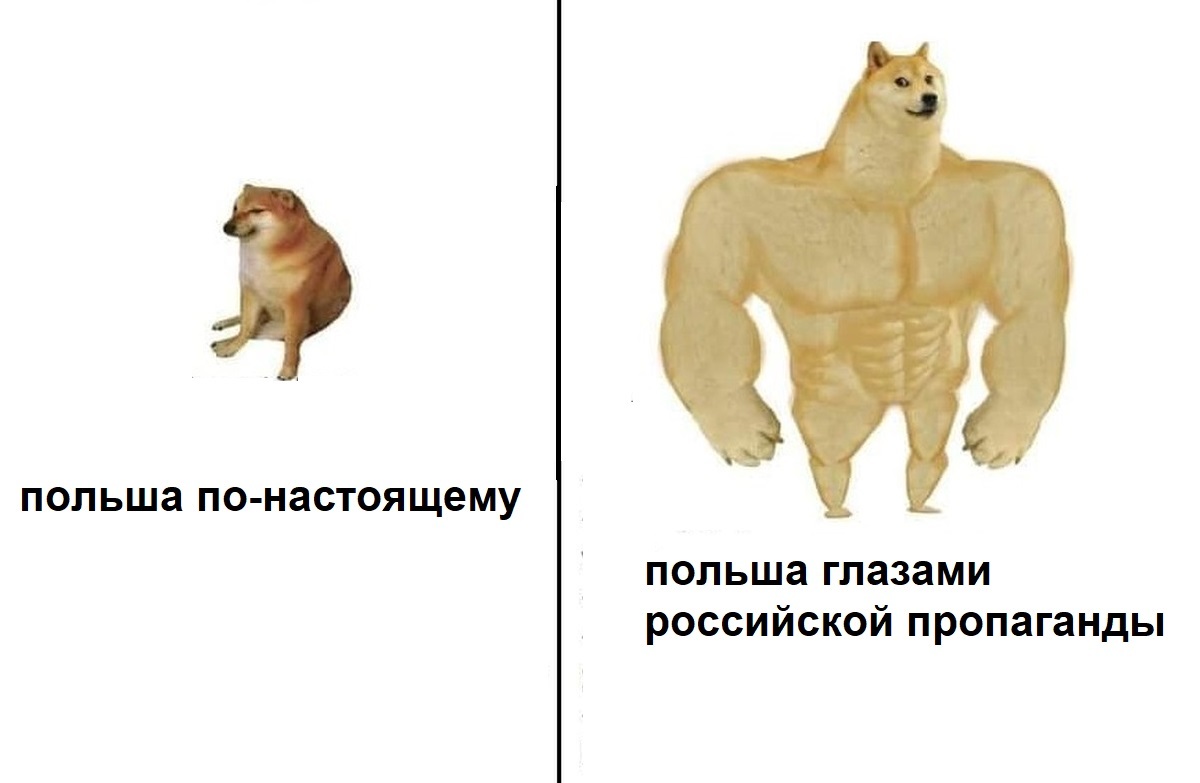 Популярный мем в Польше - Моё, Мемы, Анекдот, Тонкий юмор, Doge, Польша, 