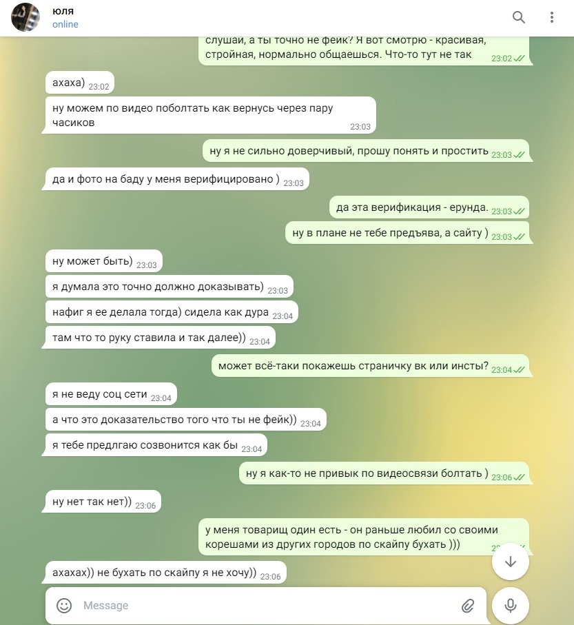 Как я упустил шикарную девушку - Девушки, Знакомства, Сайт знакомств, Обман, Мошенничество, Telegram, Переписка, Длиннопост, 
