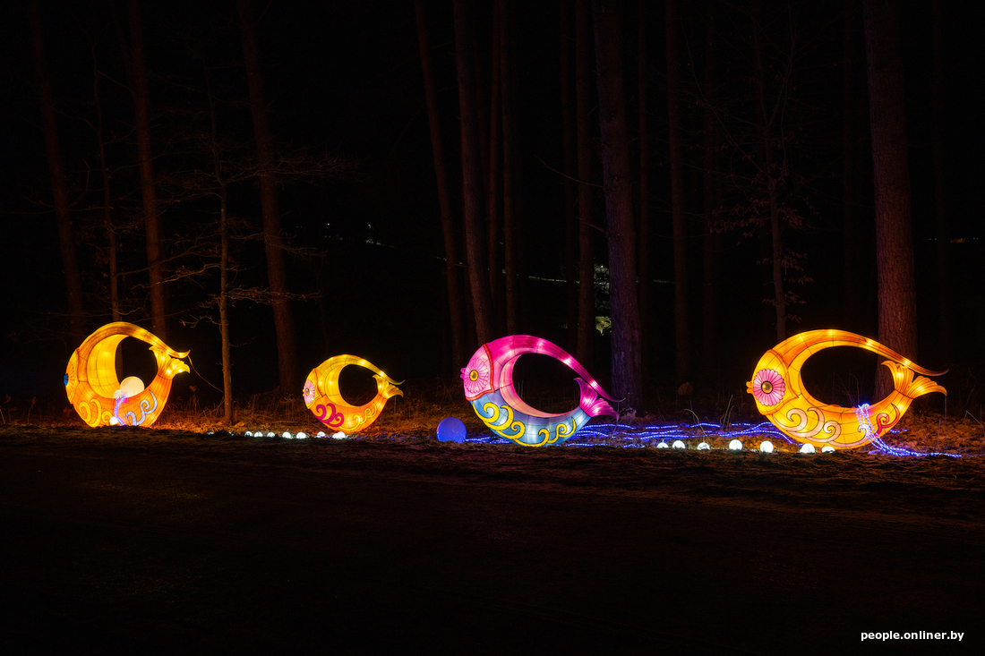 A festival of lanterns is held in Minsk. Look at this magic - Republic of Belarus, Professional shooting, Modern Art, Lamp, beauty, Onliner by, Longpost, 