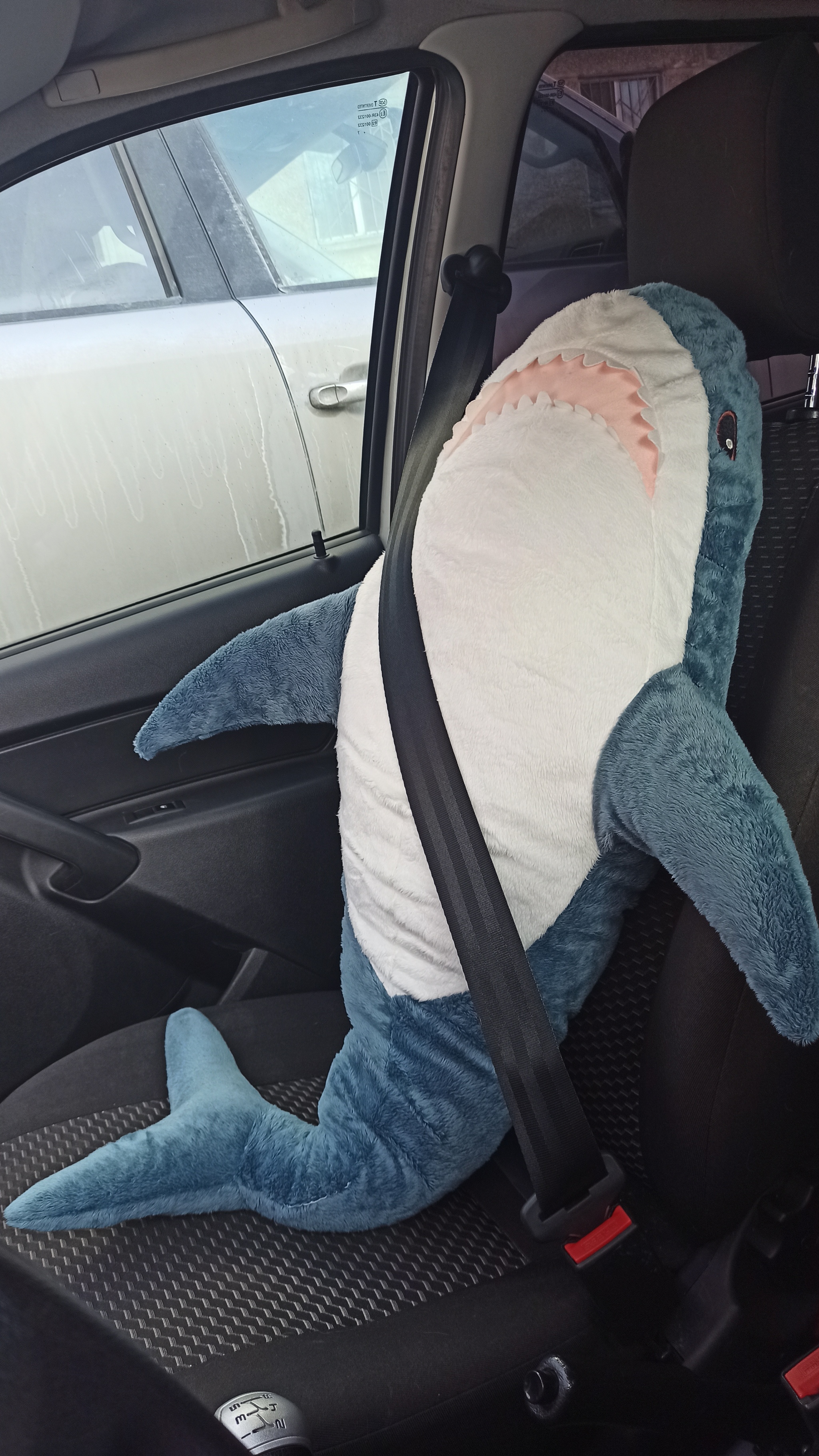 Shark and photo shoot - My, Children, The photo, Shark, IKEA, Mobile photography, 