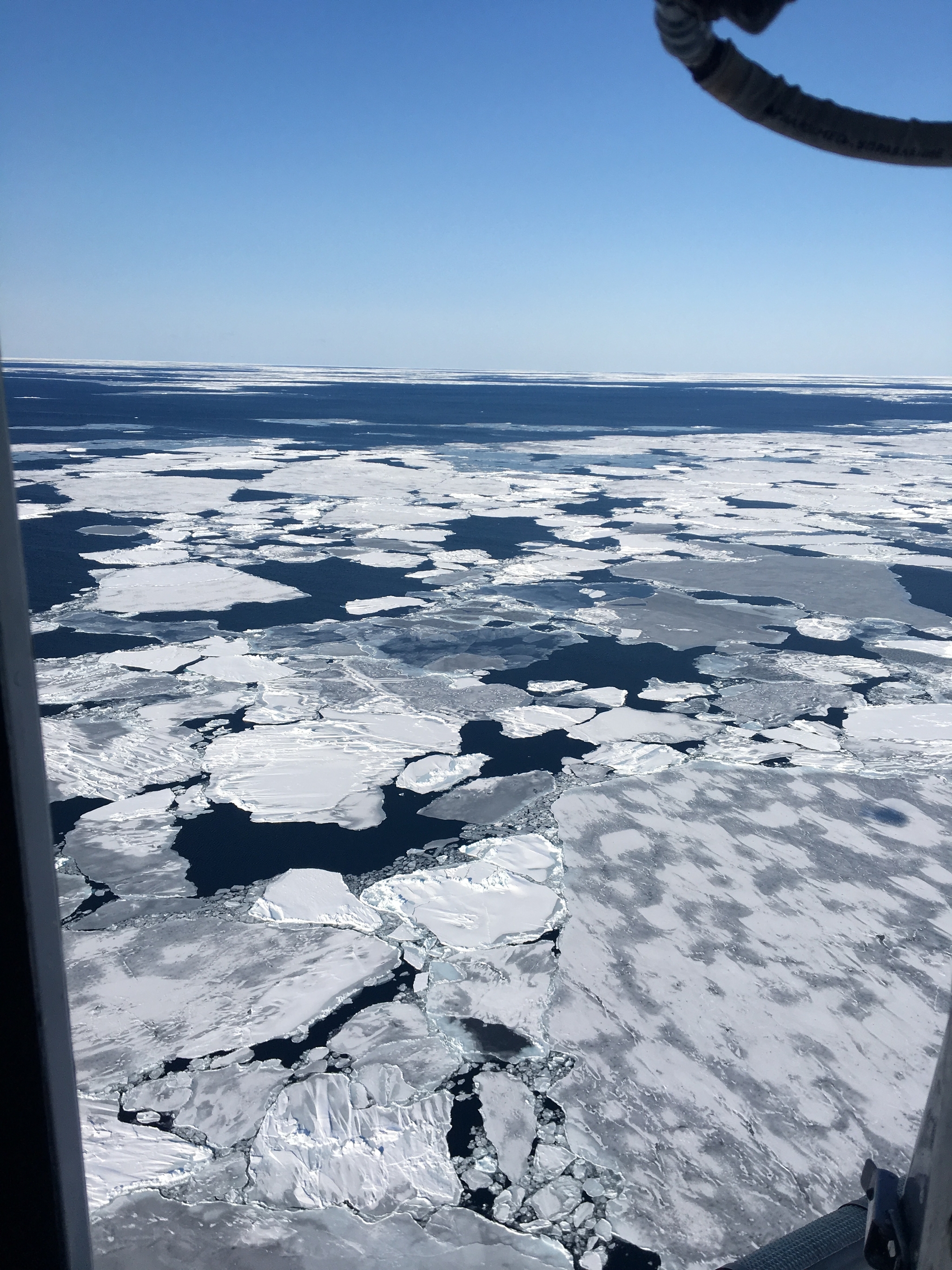 Морской романтики в ленту - Моё, Море, Лед, Морские обитатели, Фотография, Корабль, Охотское море, Длиннопост, 