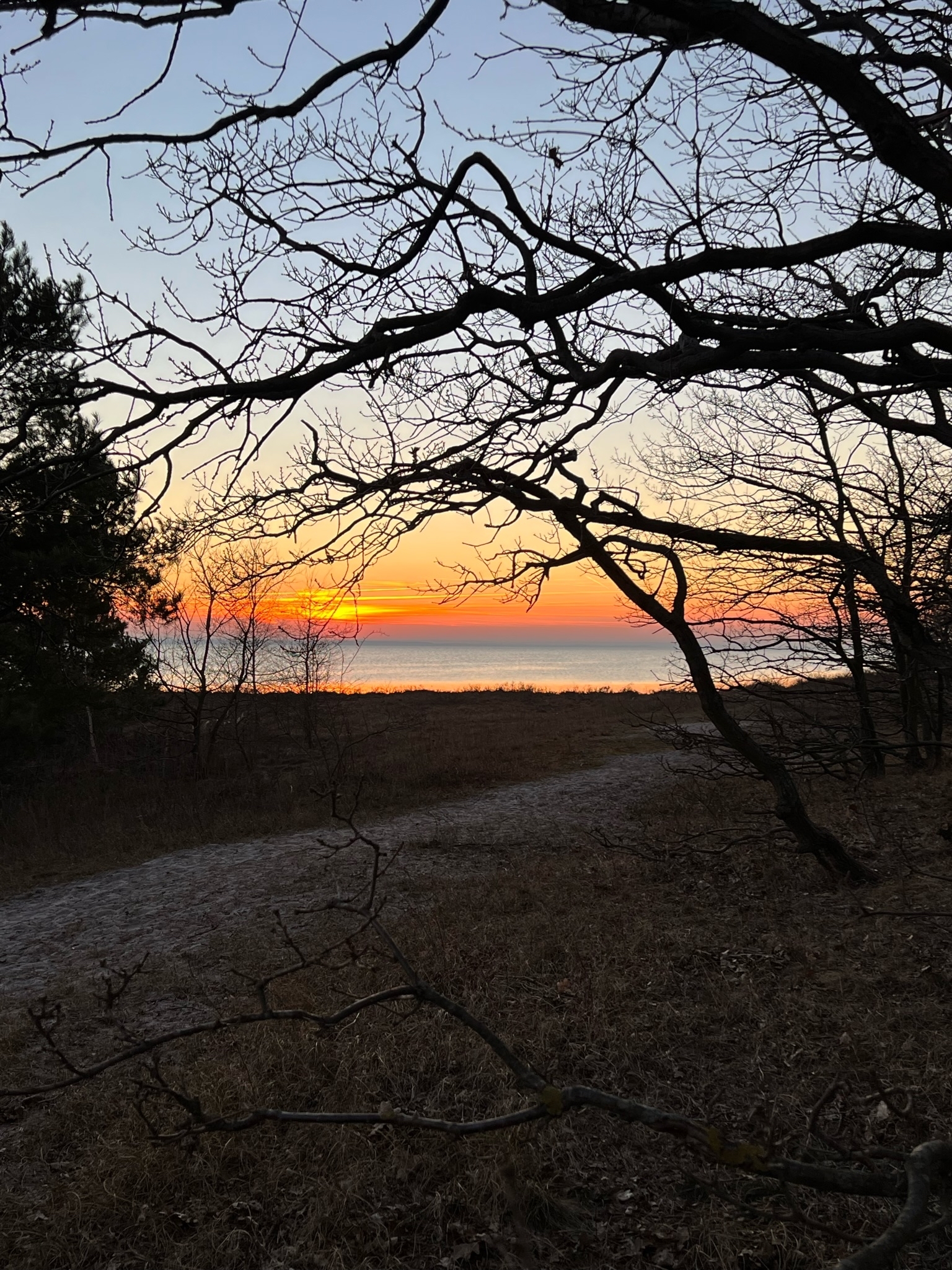 Sunset on the Hel Peninsula - My, Sea, Nature, Mobile photography, Video, Longpost, Vertical video, 