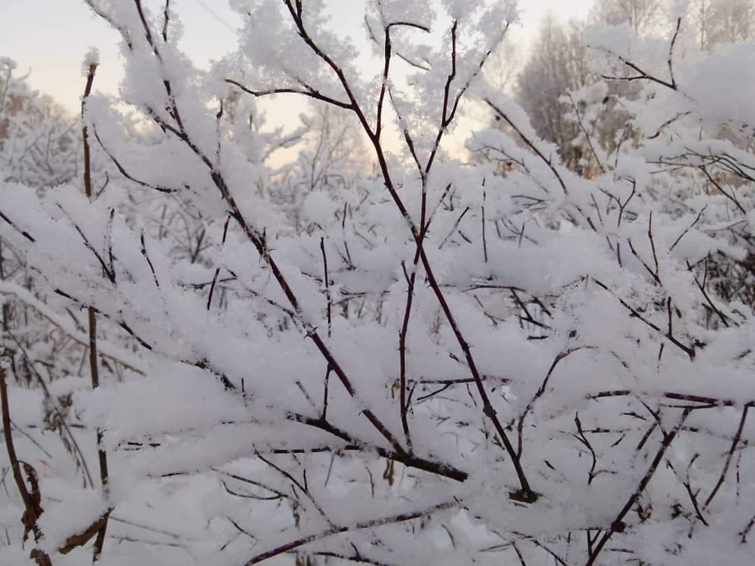 Siberian Winter - My, The photo, Nature, Longpost, Winter, 