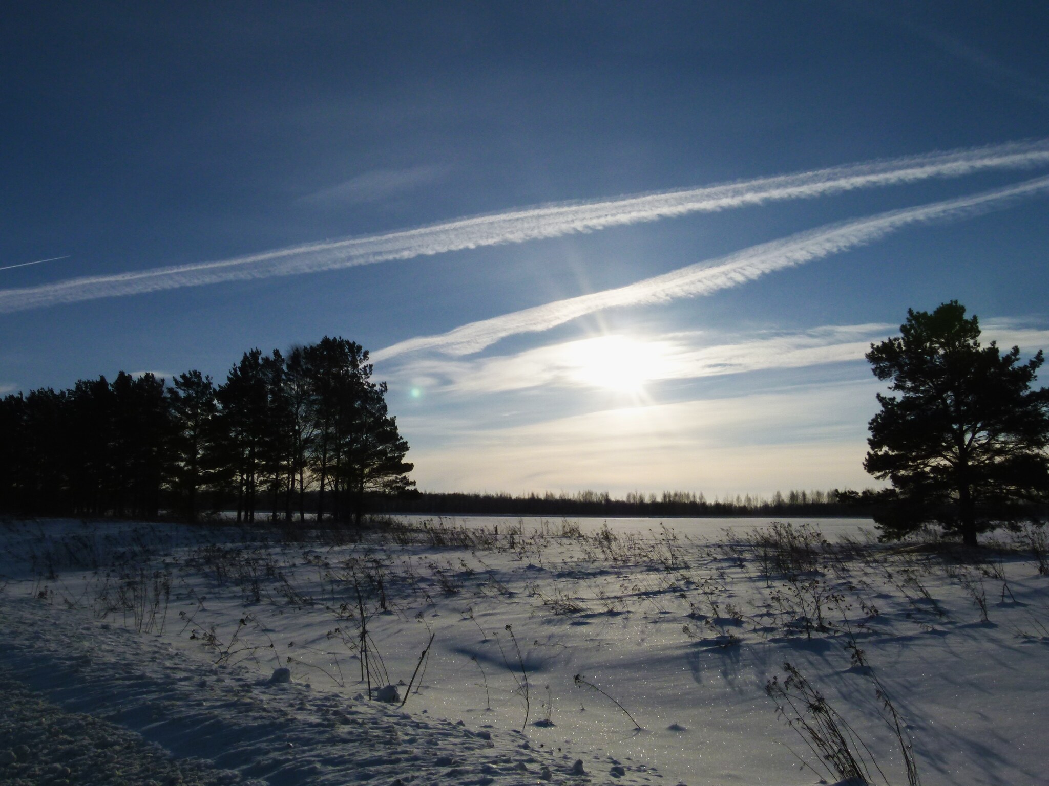 Siberian Winter - My, The photo, Nature, Longpost, Winter, 