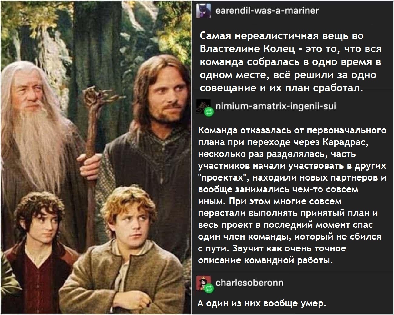 Problems of teamwork on an example - Lord of the Rings, The Fellowship of the Ring, Teamwork, Picture with text, Translated by myself, 