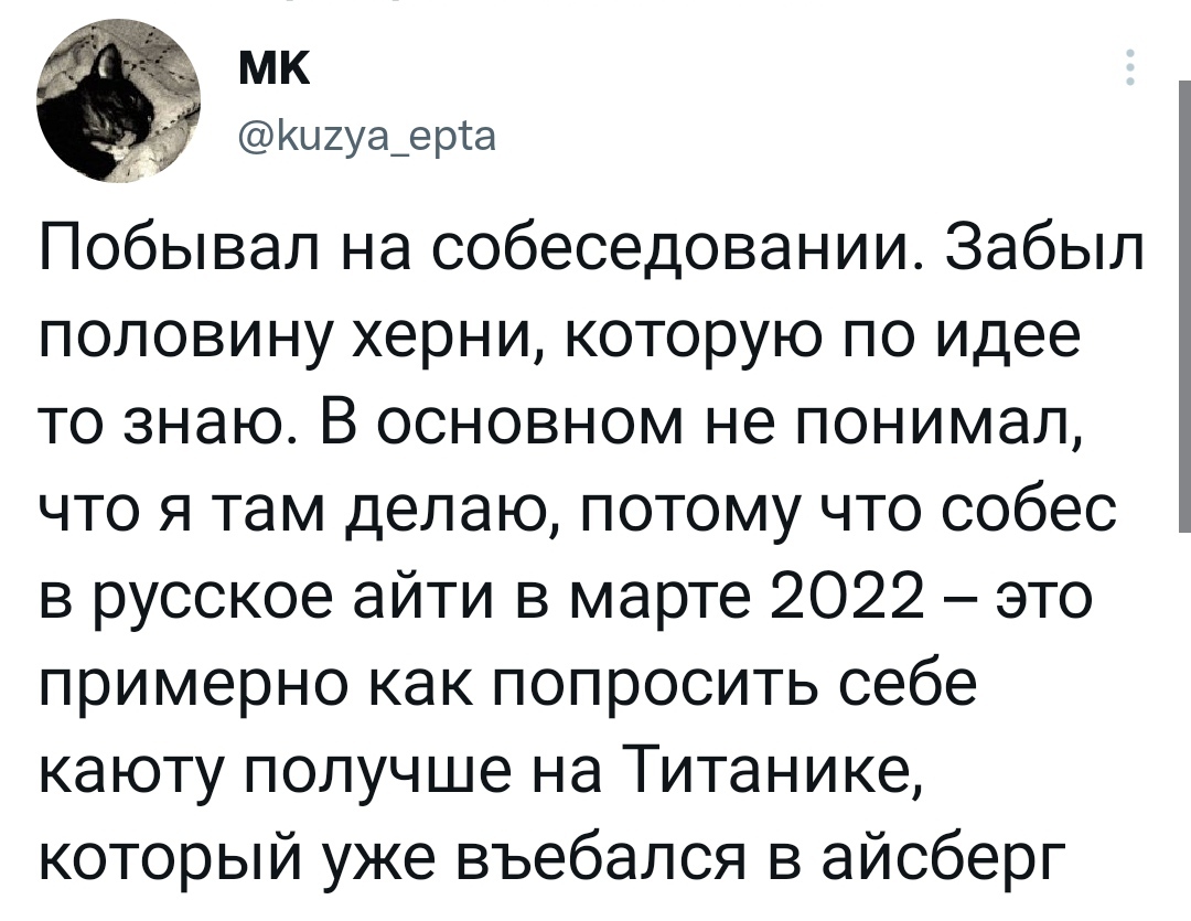 Успел на рейс - Скриншот, Twitter, IT, Мат, Собеседование, 