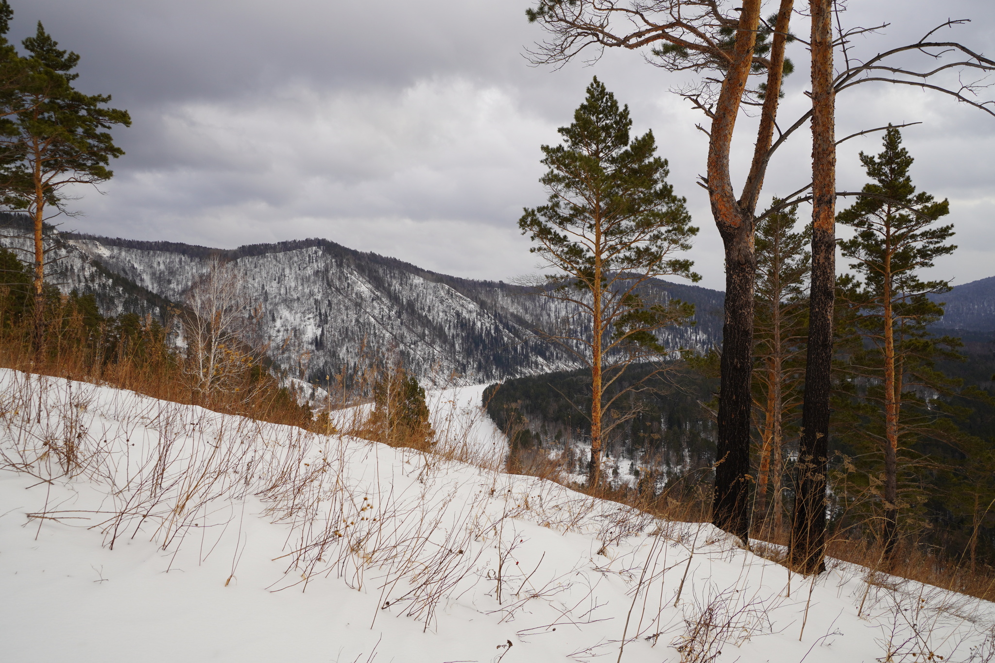 Окрестности Красноярска - Моё, Красноярск, Красноярские столбы, Природа, Манская петля, Длиннопост, Фотография, 