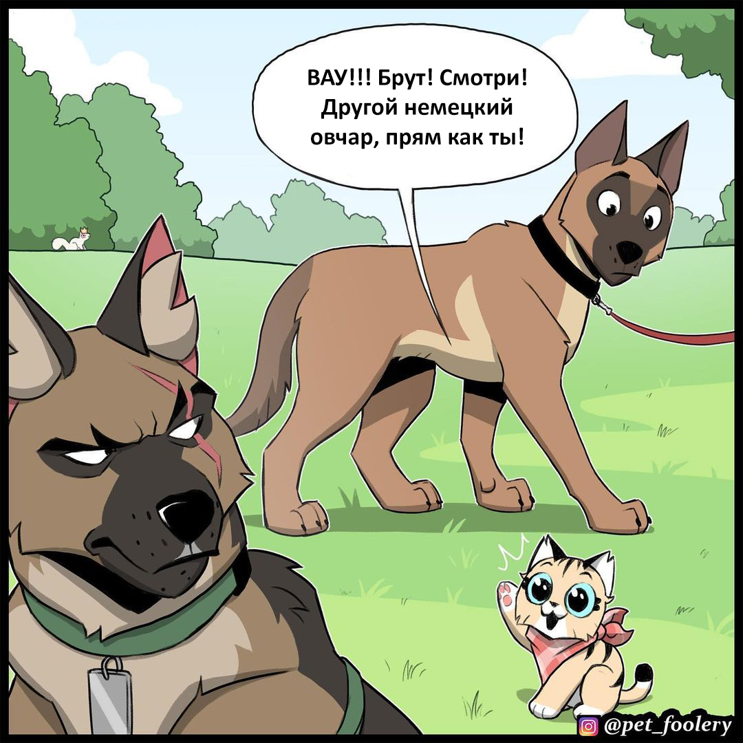 Brutus' encounter with another dog - Comics, Pet foolery, Humor, Brutus and Pixie, Longpost