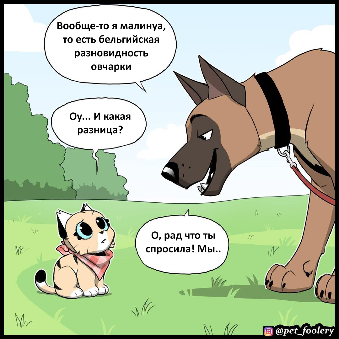 Brutus' encounter with another dog - Comics, Pet foolery, Humor, Brutus and Pixie, Longpost