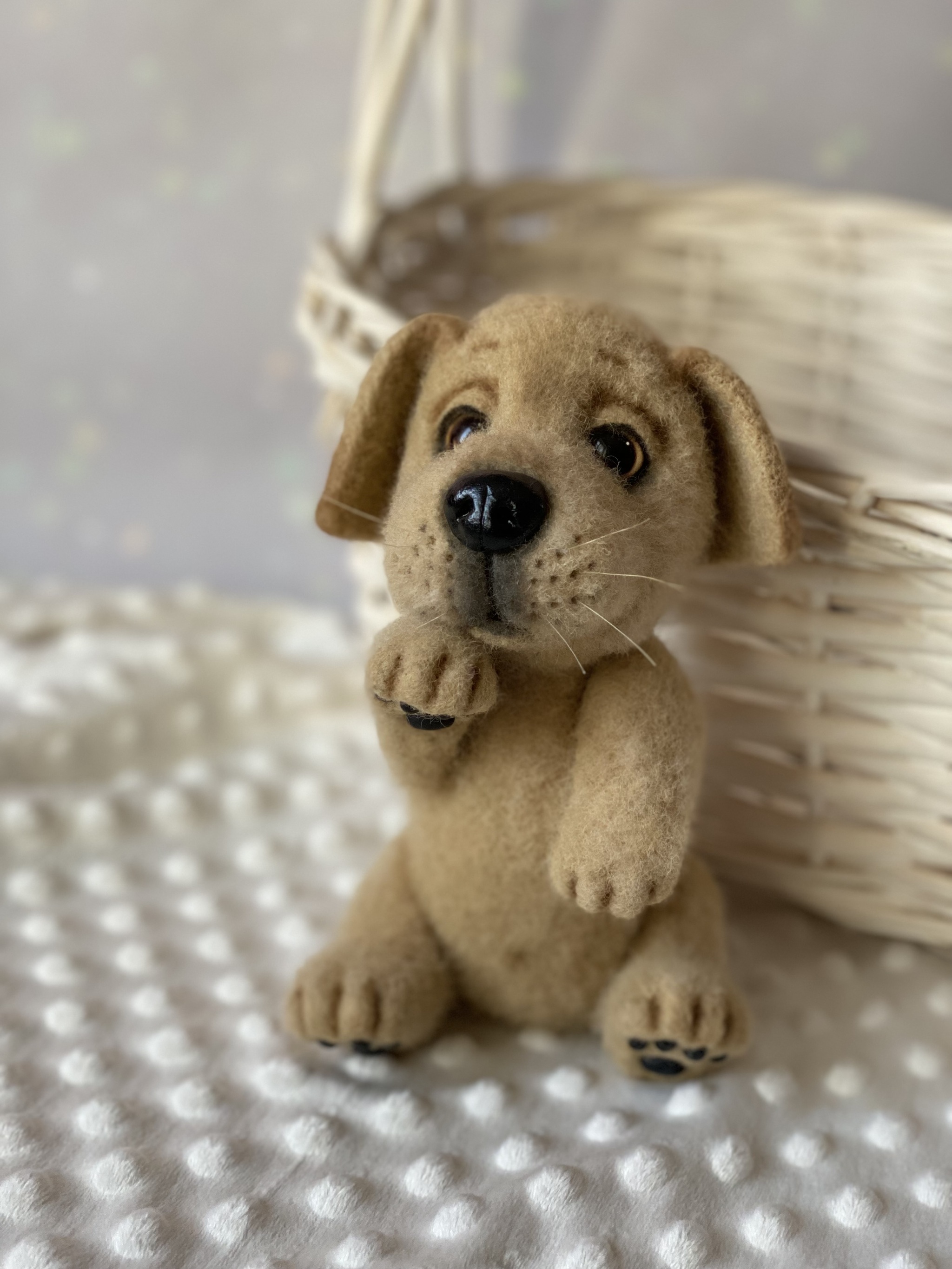 A puppy named Junior - My, Toys, Needlework without process, Presents, Handmade, Puppies, Author's toy, Decor, Longpost, 