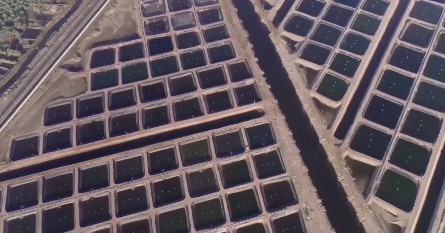 Giant fish farm: Egypt's megaproject began to bring results - Informative, Egypt, Africa, Longpost, 