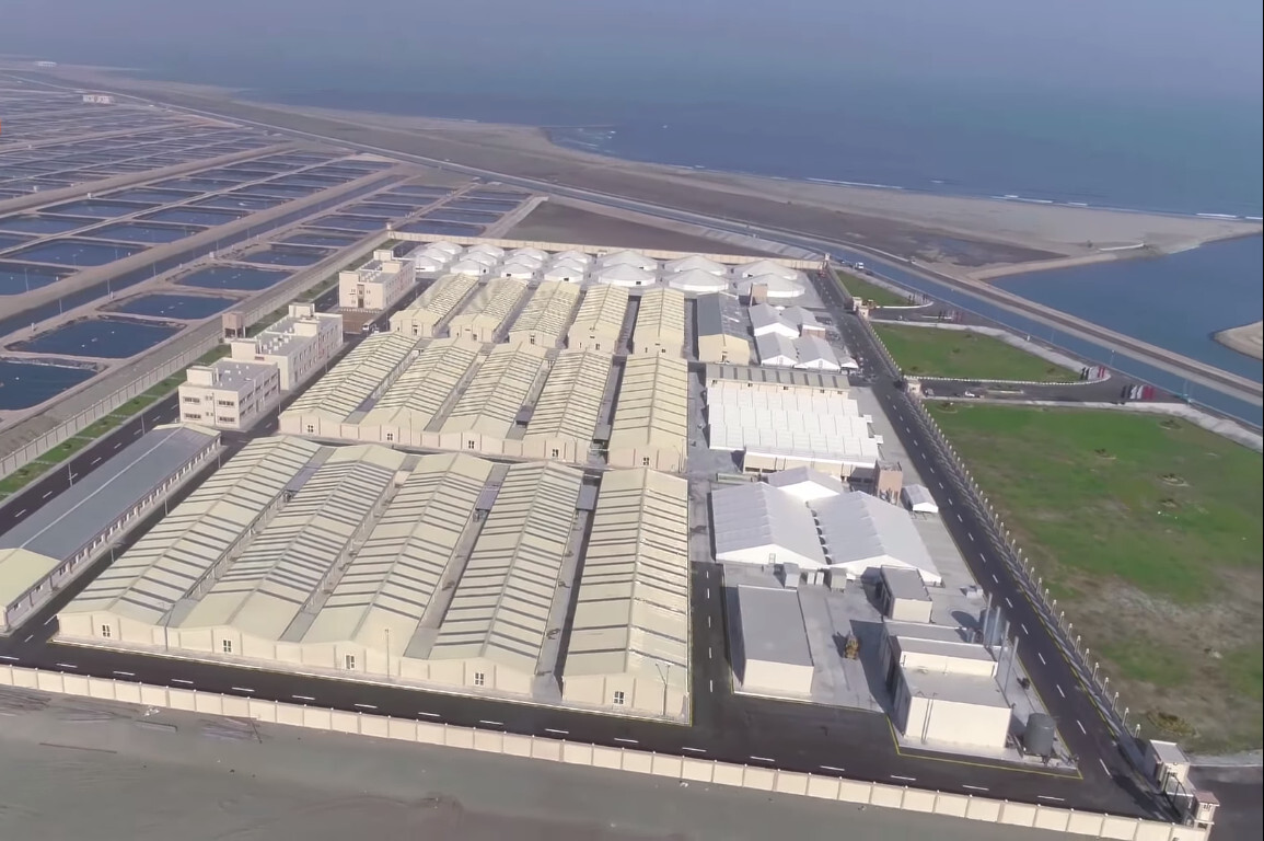 Giant fish farm: Egypt's megaproject began to bring results - Informative, Egypt, Africa, Longpost, 