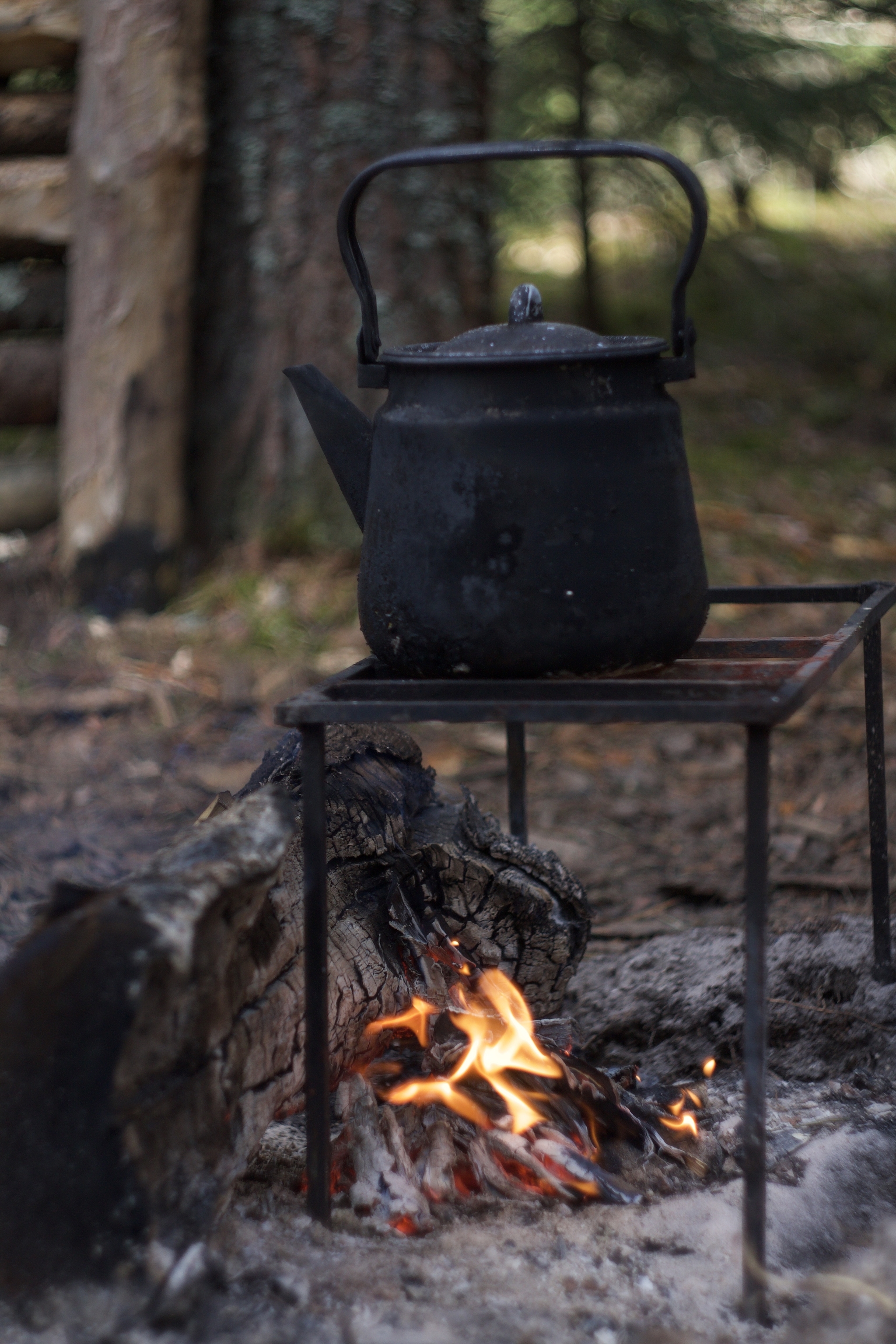 Atmosphere... - My, The photo, Nature, Forest, Bonfire, Axe, Atmosphere, Longpost, 