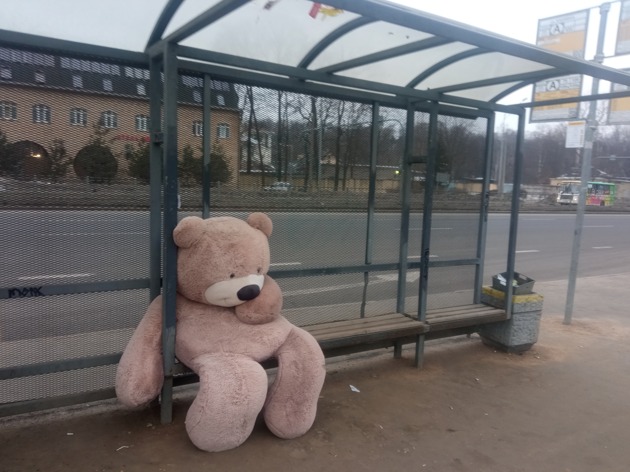 Sentimental Petersburg - My, Saint Petersburg, Mood, Teddy bear, 